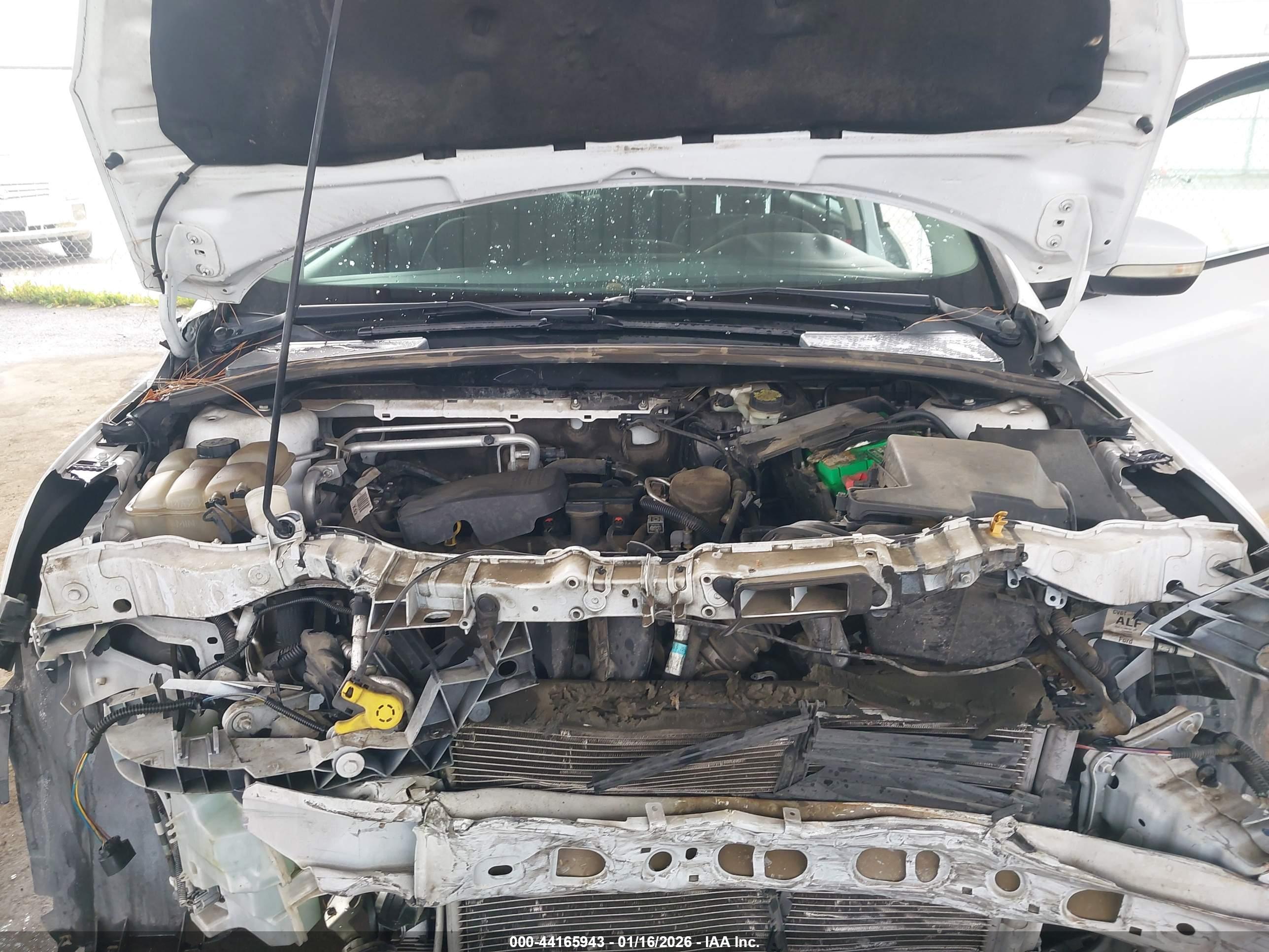 FORD FOCUS image 10