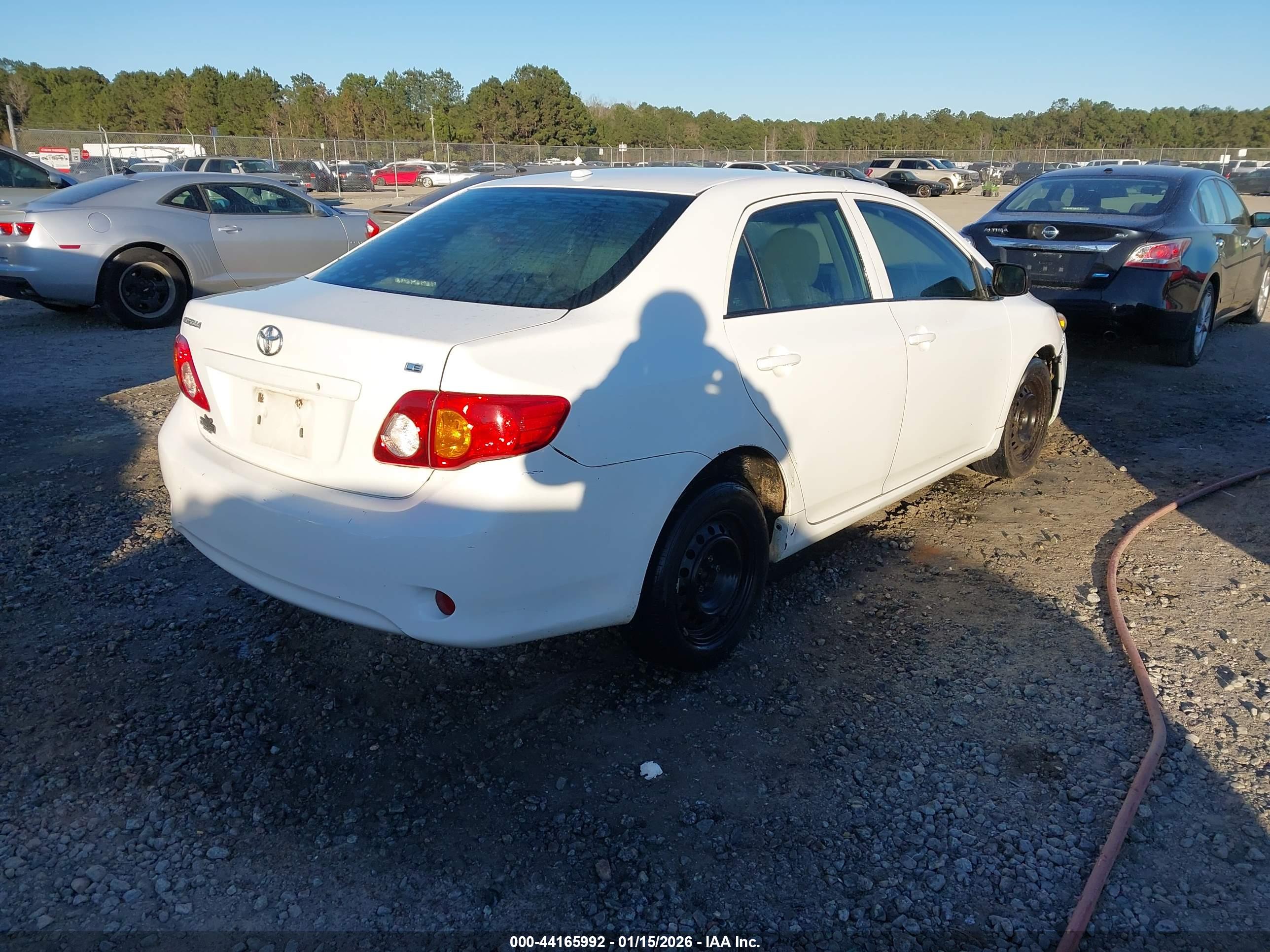 TOYOTA COROLLA image 4