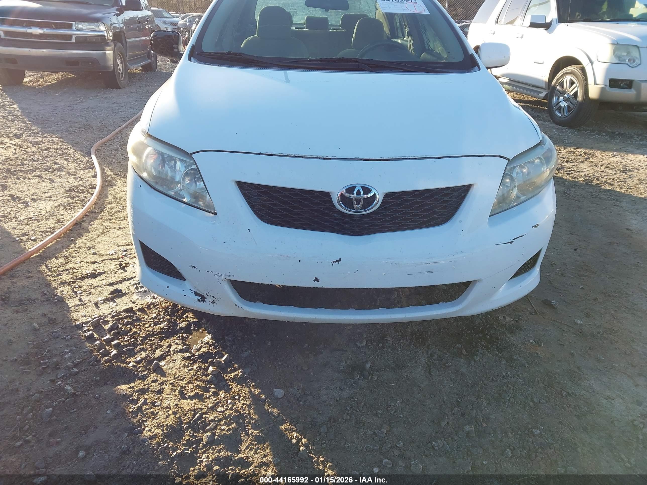 TOYOTA COROLLA image 6