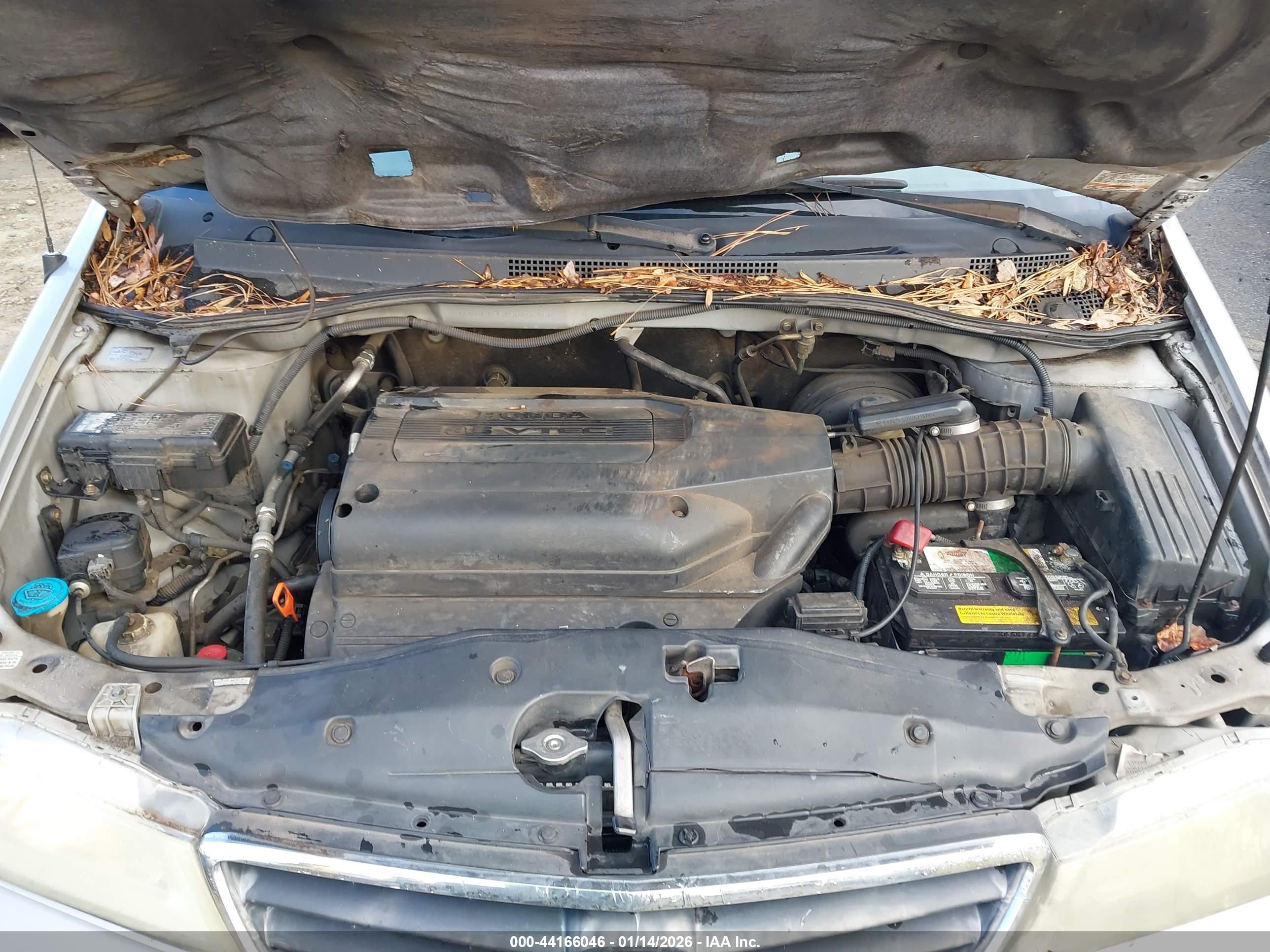 HONDA ODYSSEY image 10