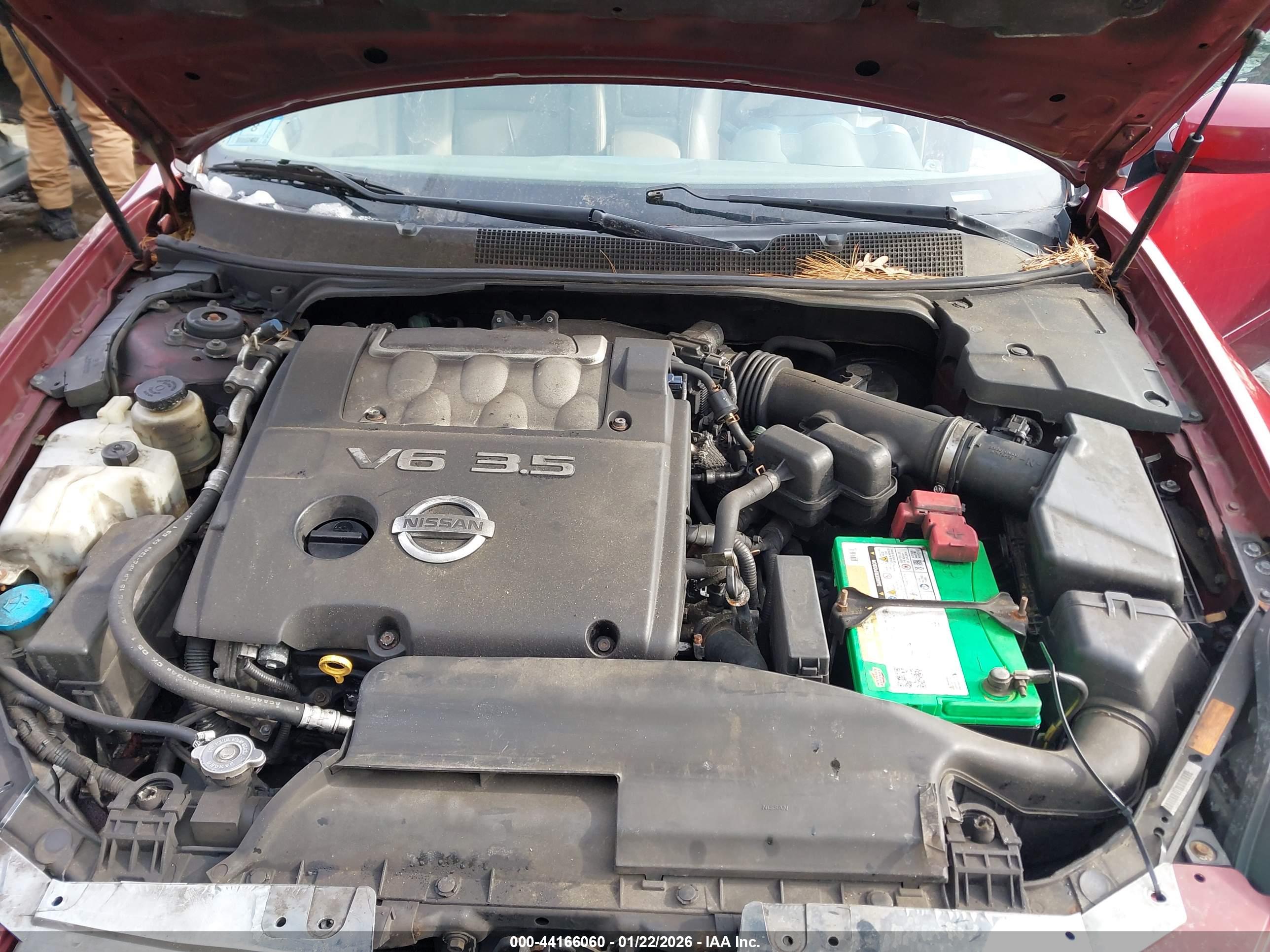 NISSAN MAXIMA image 10