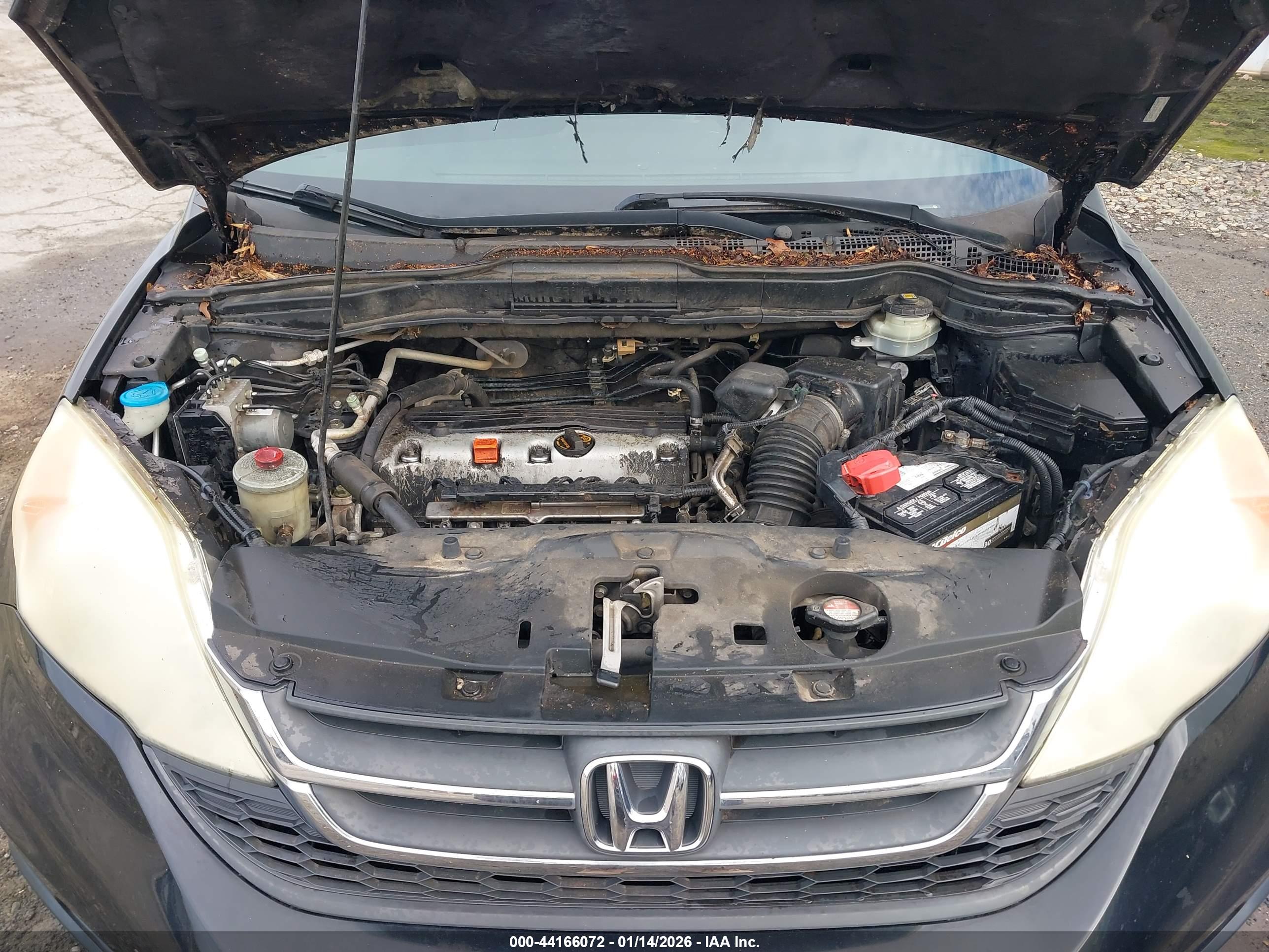 HONDA CR-V image 10