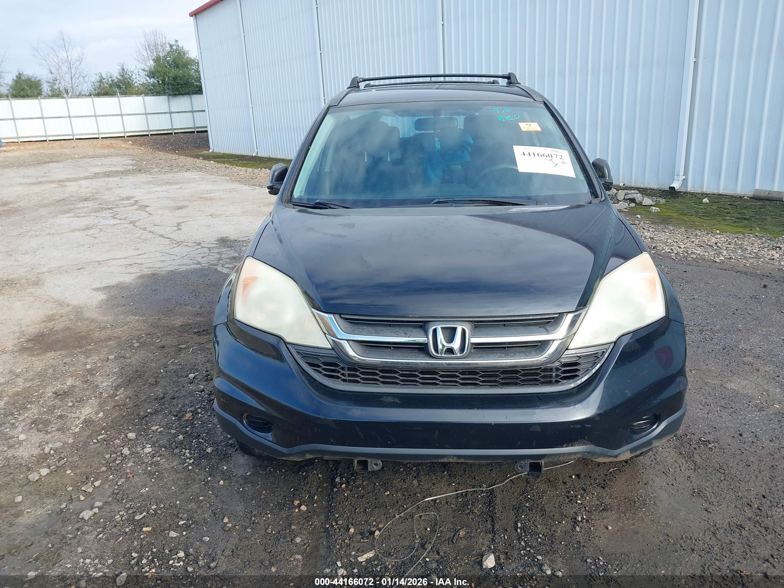 HONDA CR-V image 6