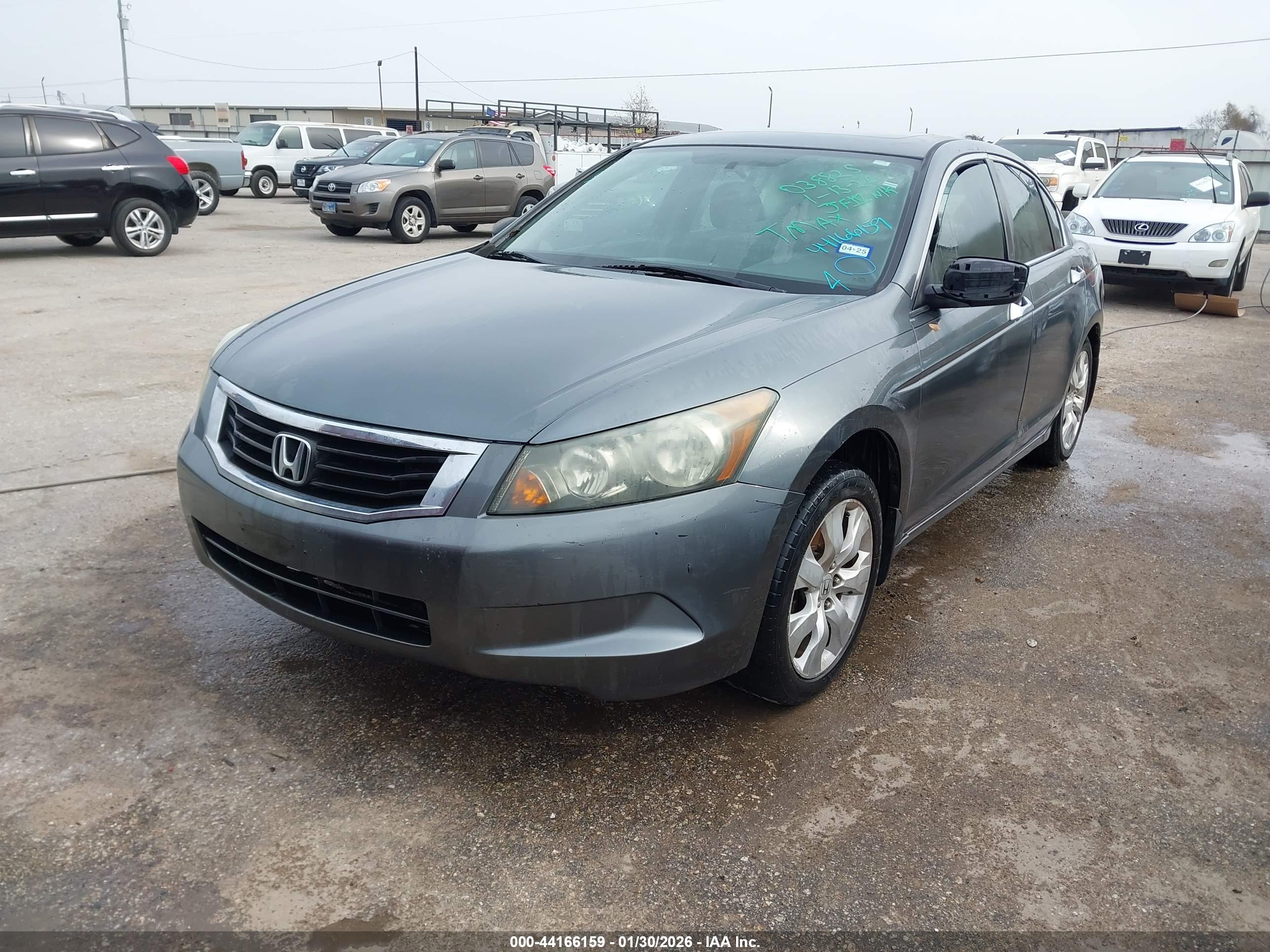 HONDA ACCORD image 2