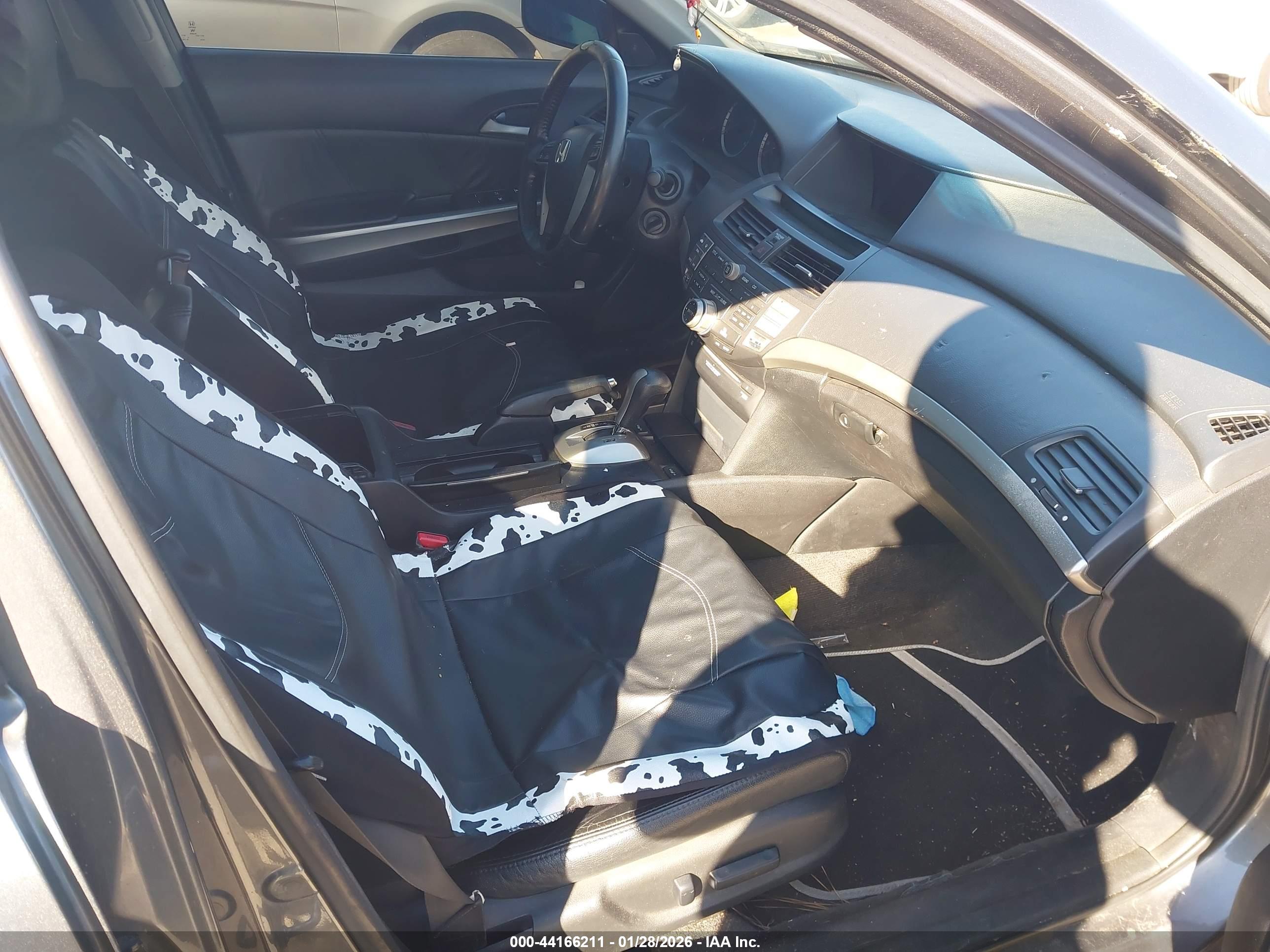 HONDA ACCORD image 5