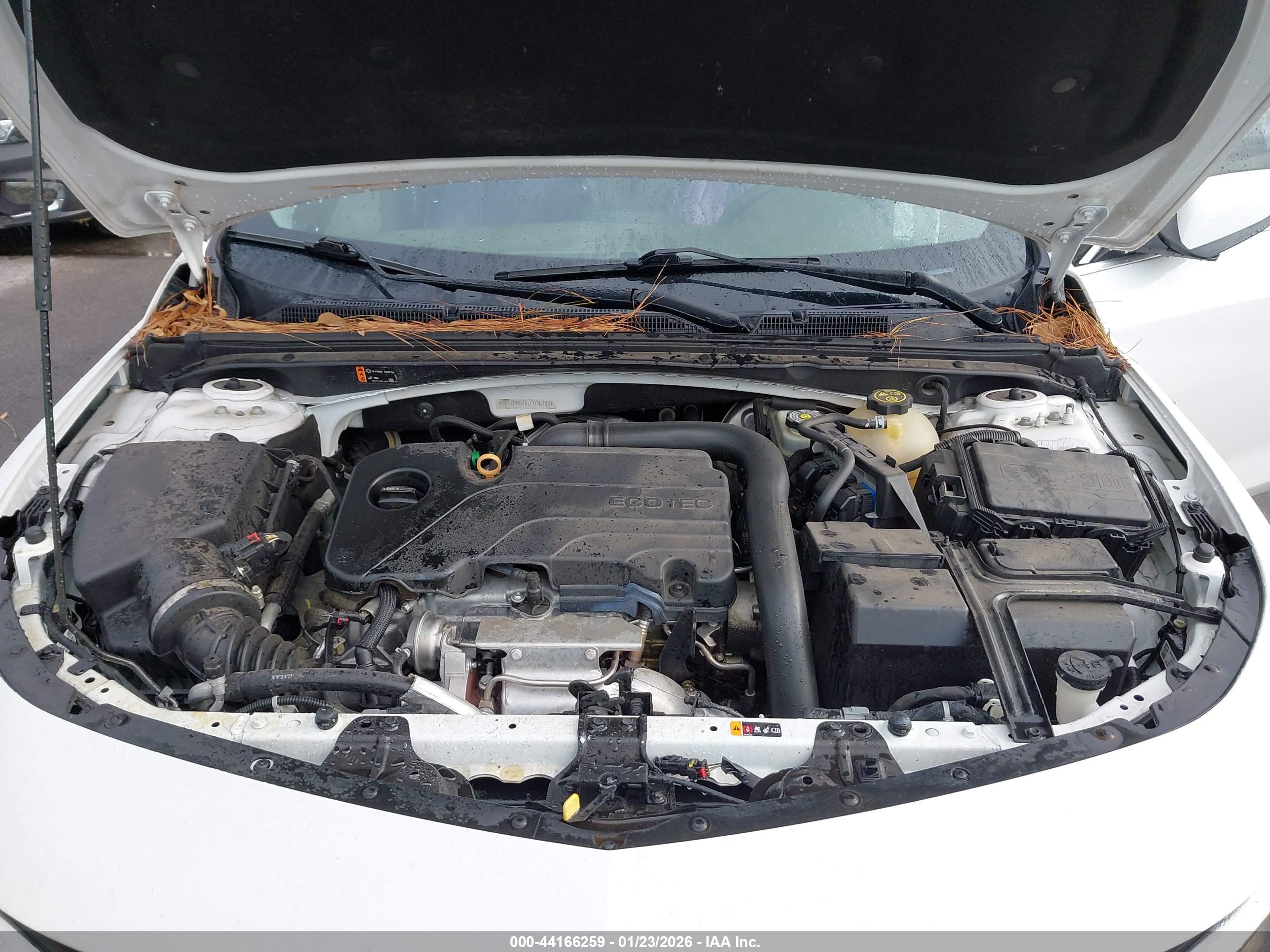 CHEVROLET MALIBU image 10