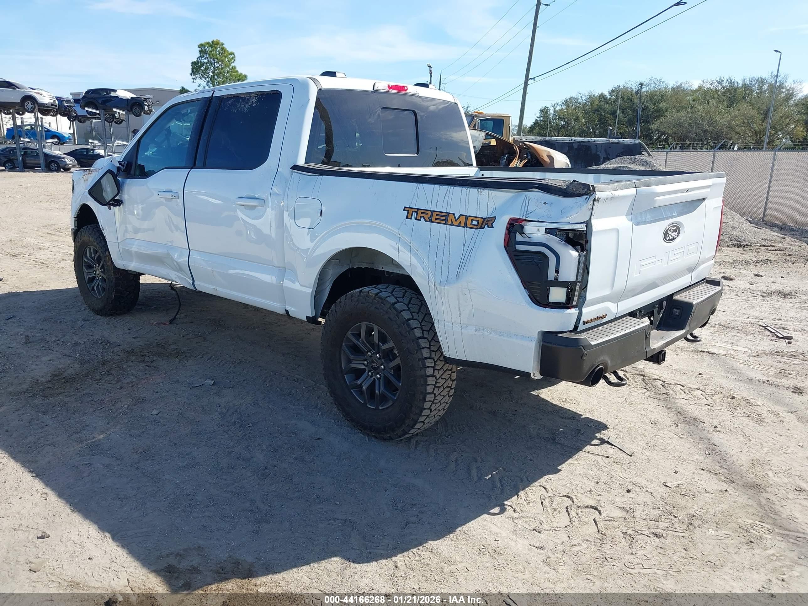 FORD F-150 image 3