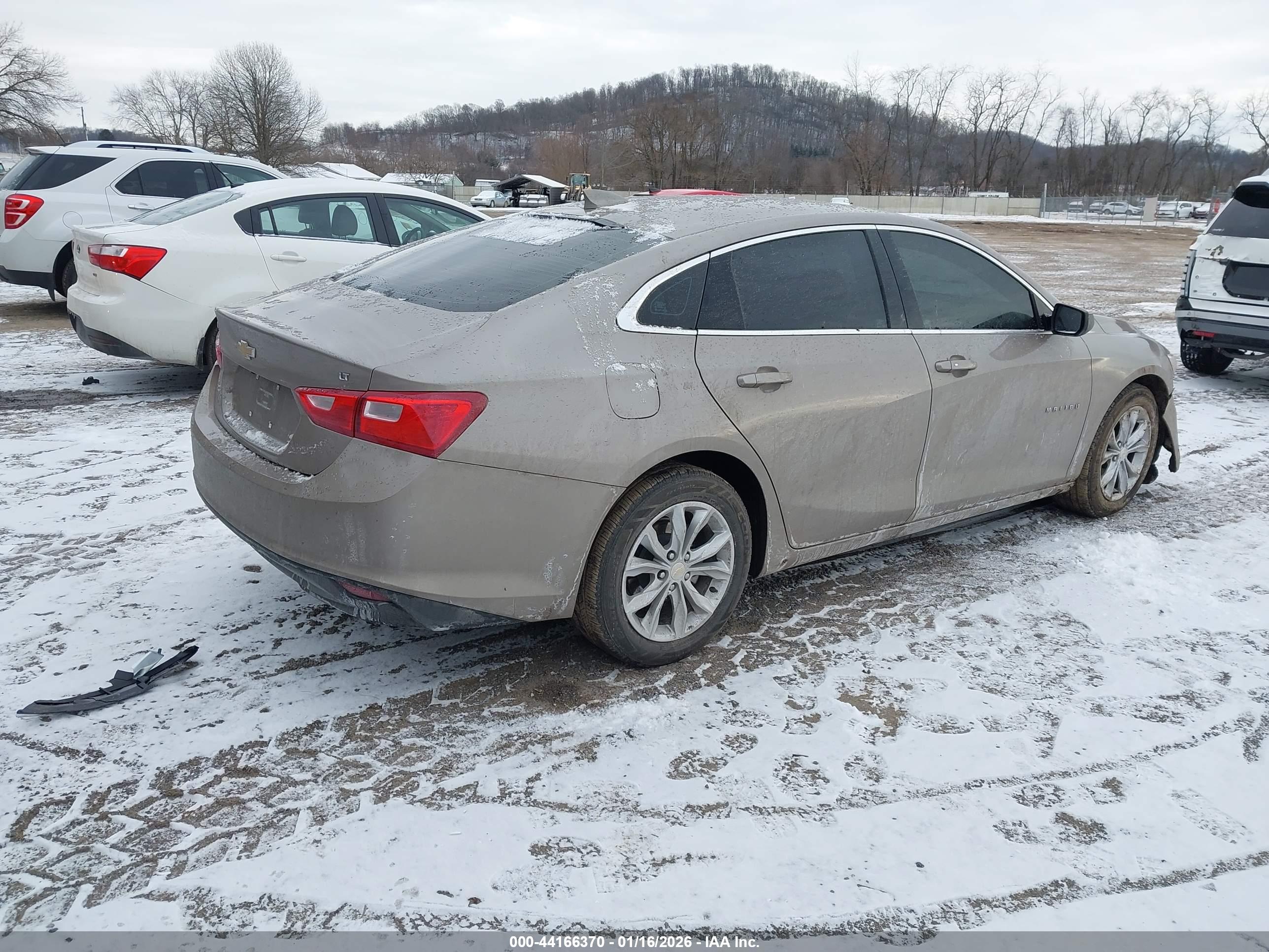 CHEVROLET MALIBU image 4