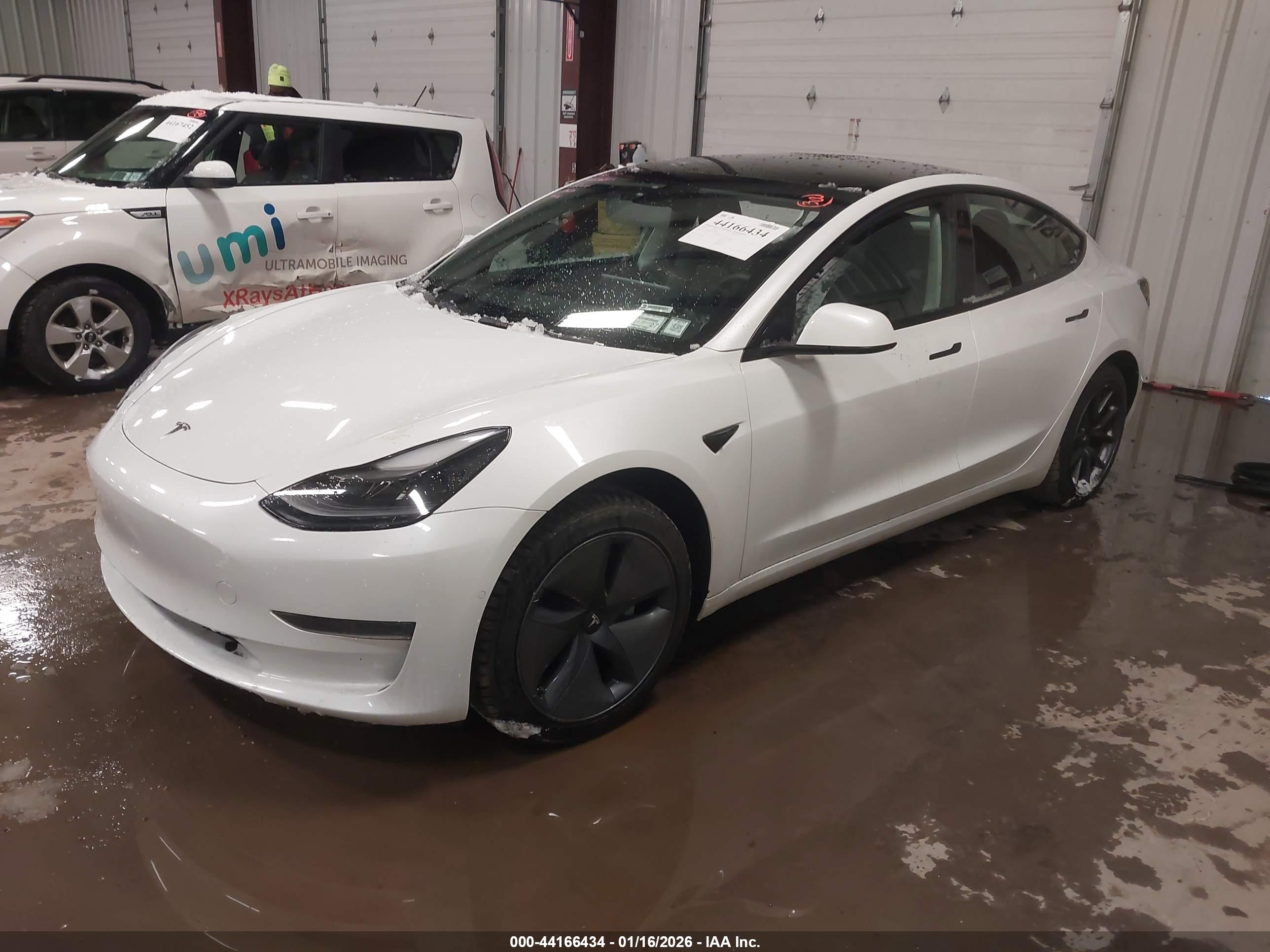 TESLA MODEL image 2