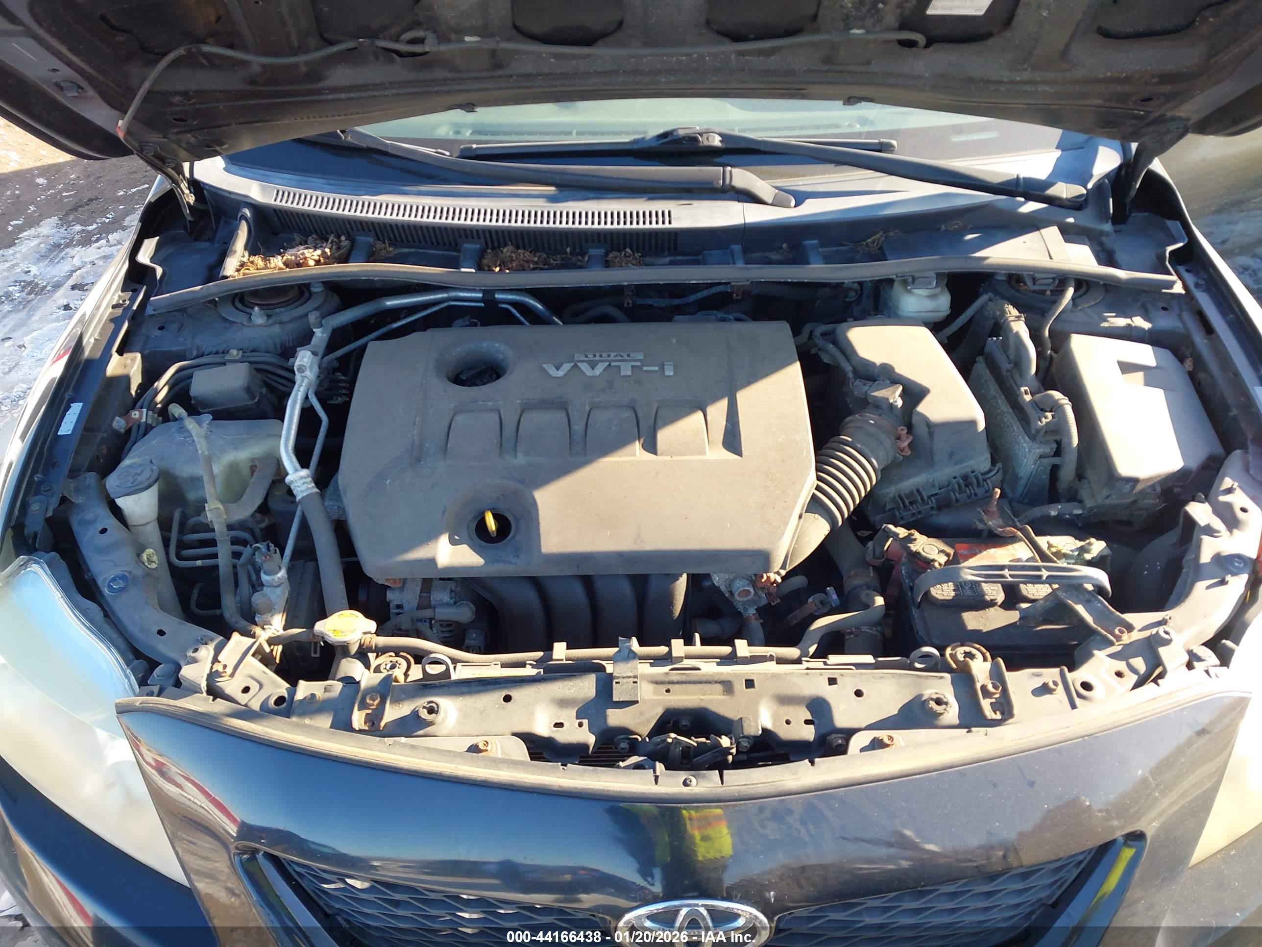 TOYOTA COROLLA image 10