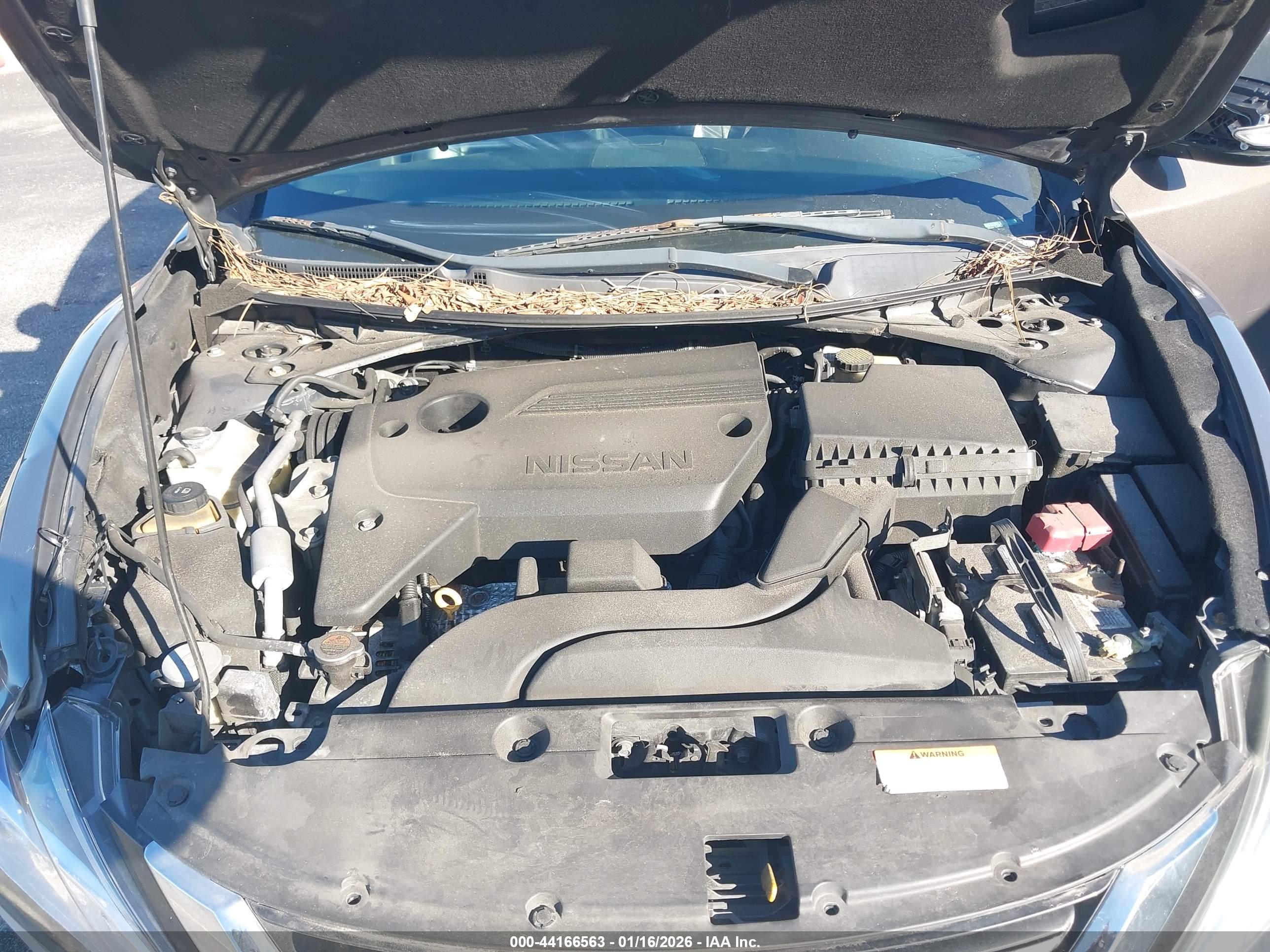 NISSAN ALTIMA image 10