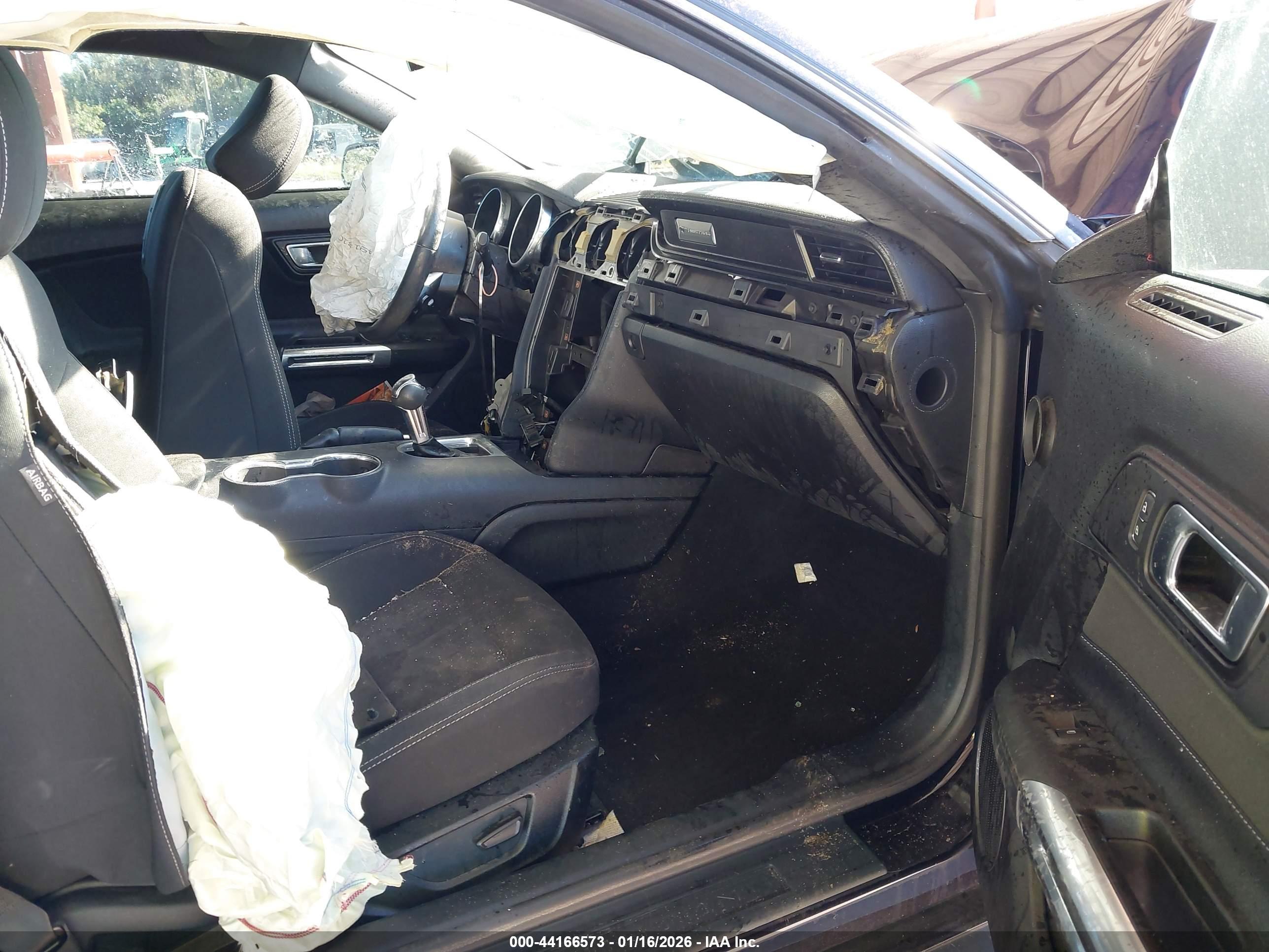 FORD MUSTANG image 5