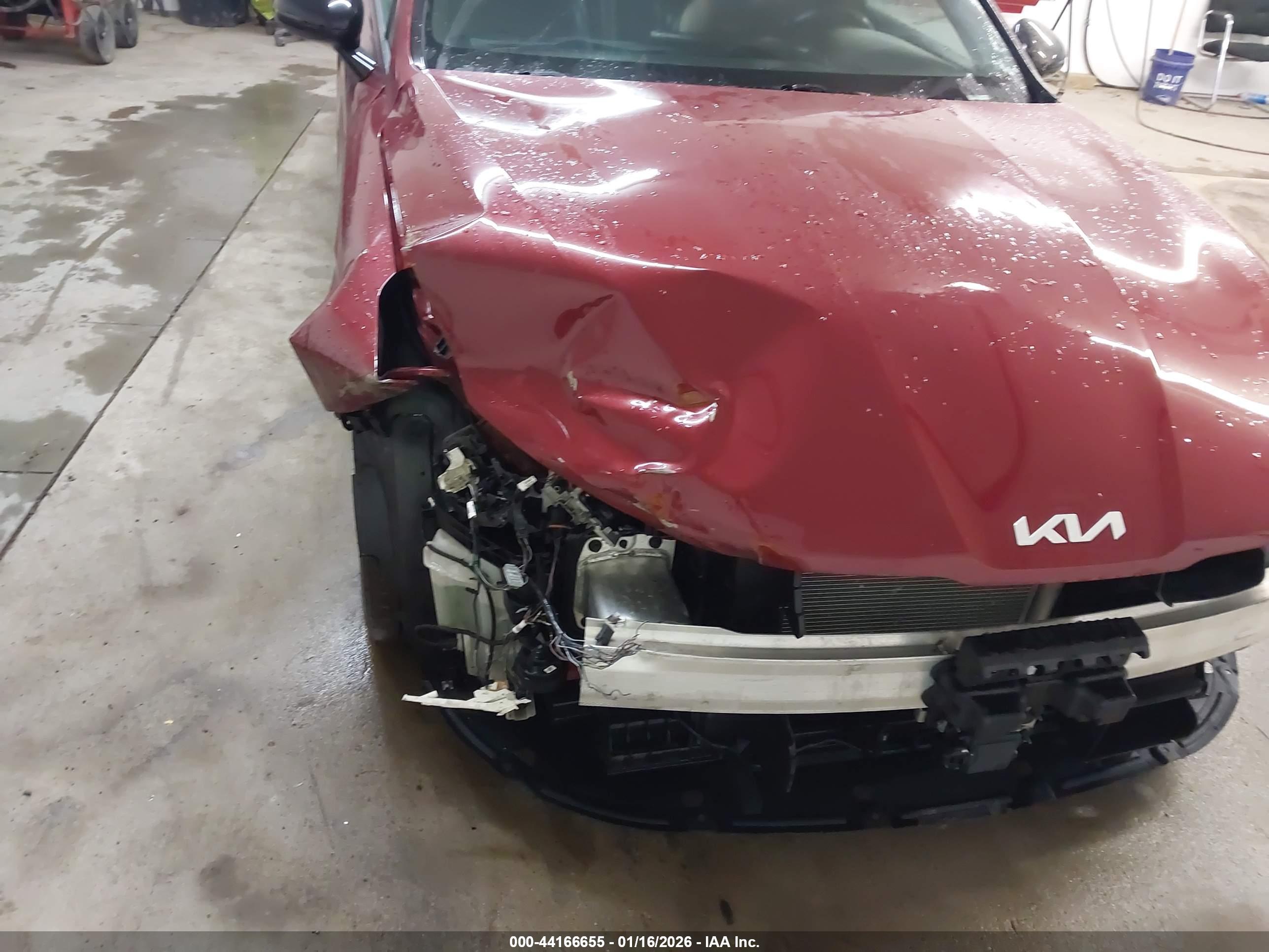 KIA K5 image 6