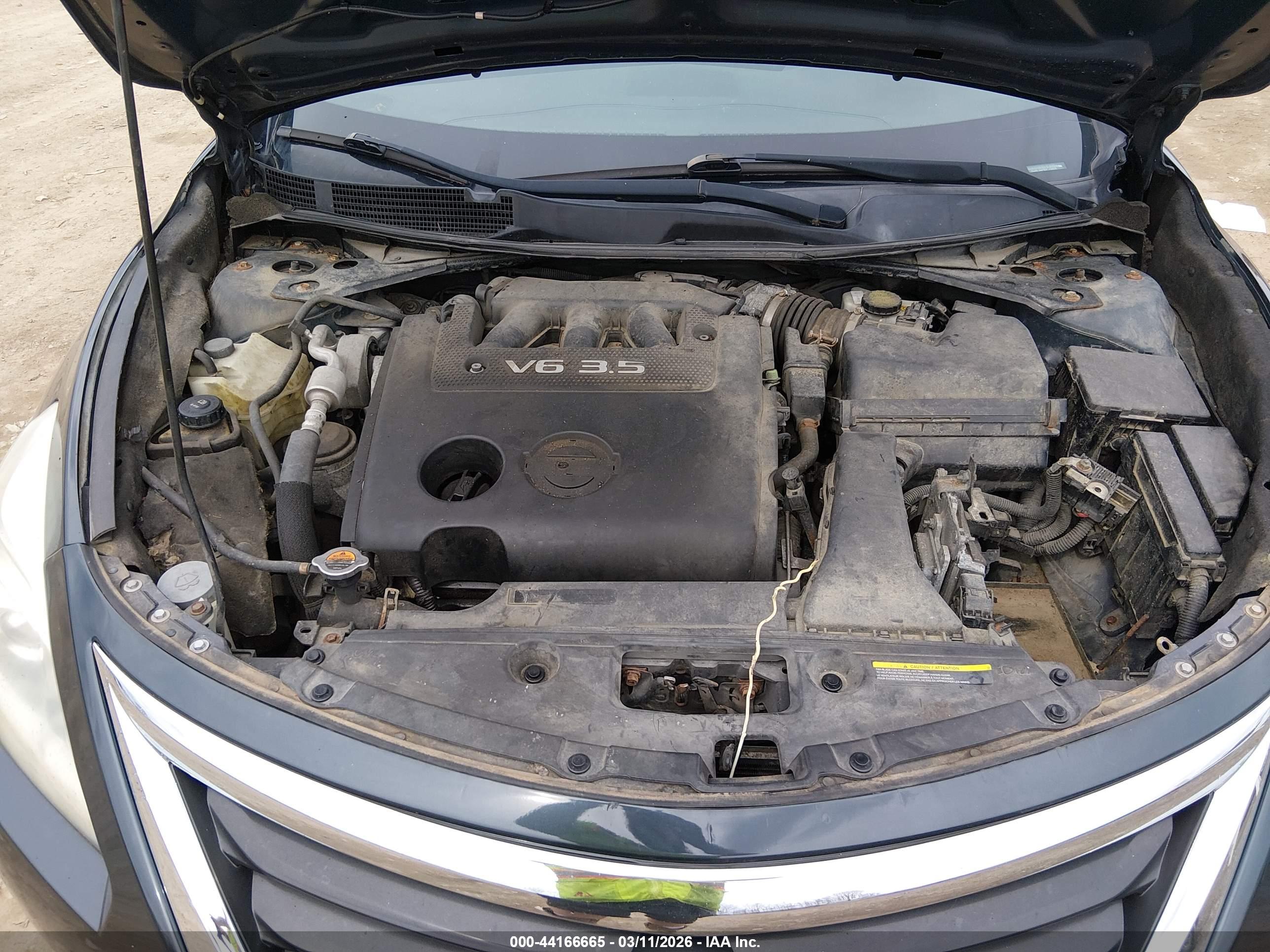 NISSAN ALTIMA image 10