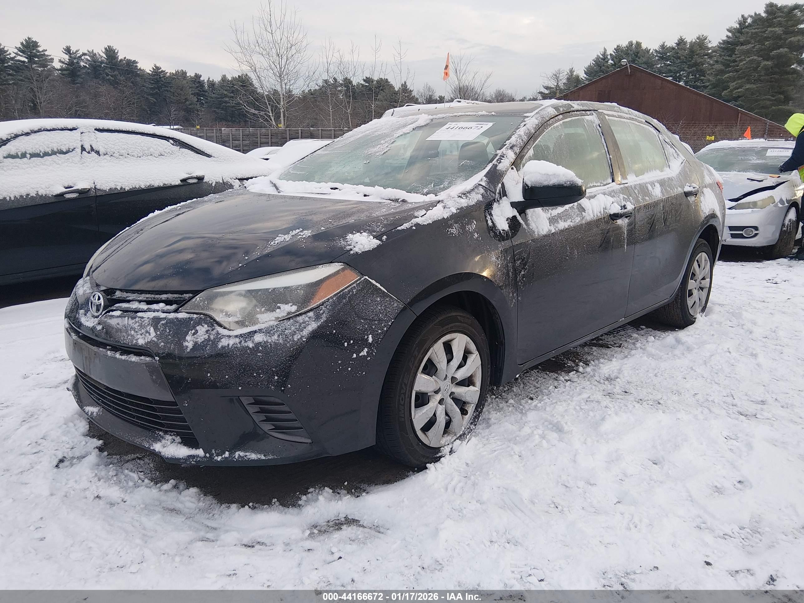 TOYOTA COROLLA image 2