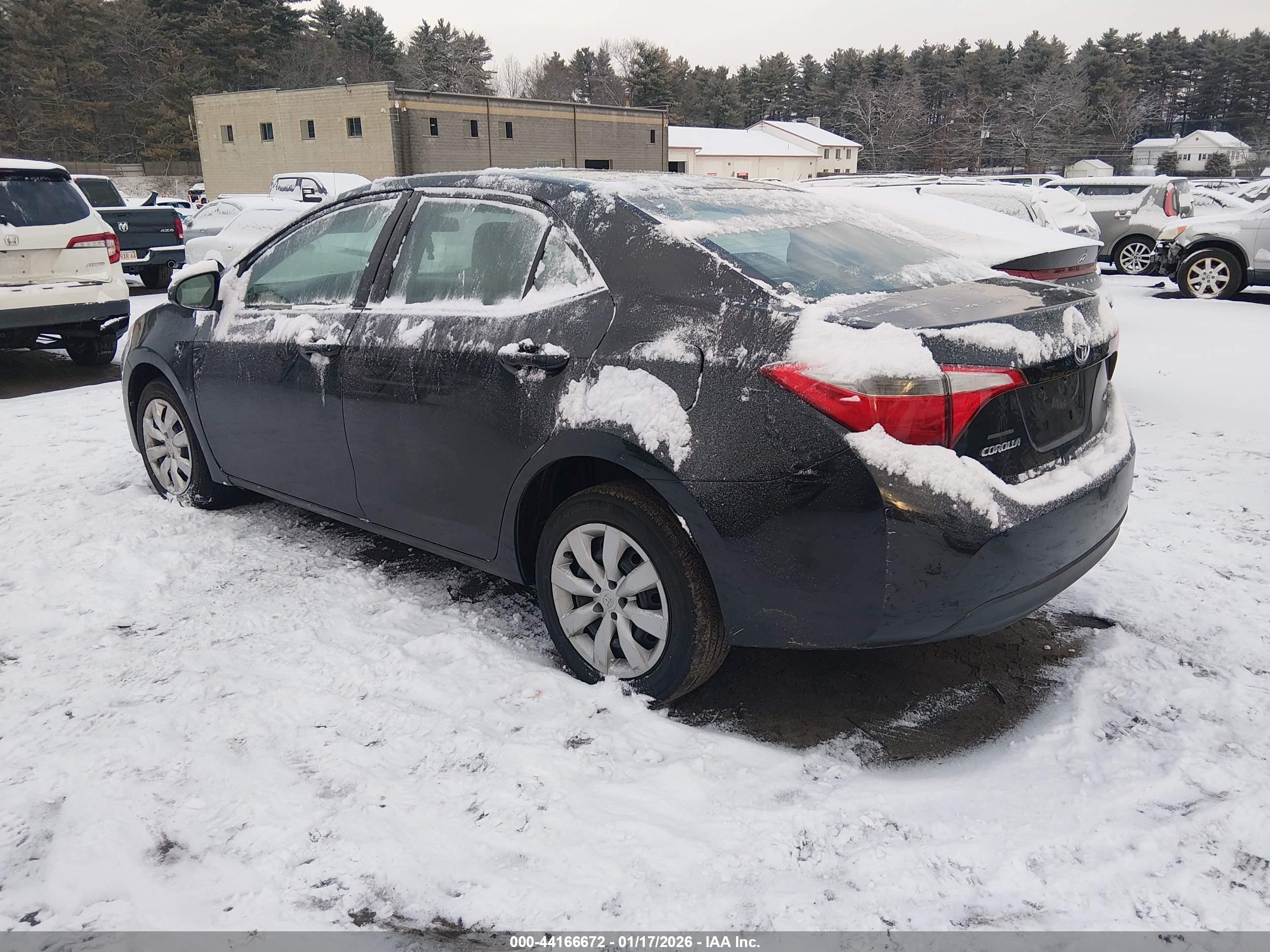 TOYOTA COROLLA image 3