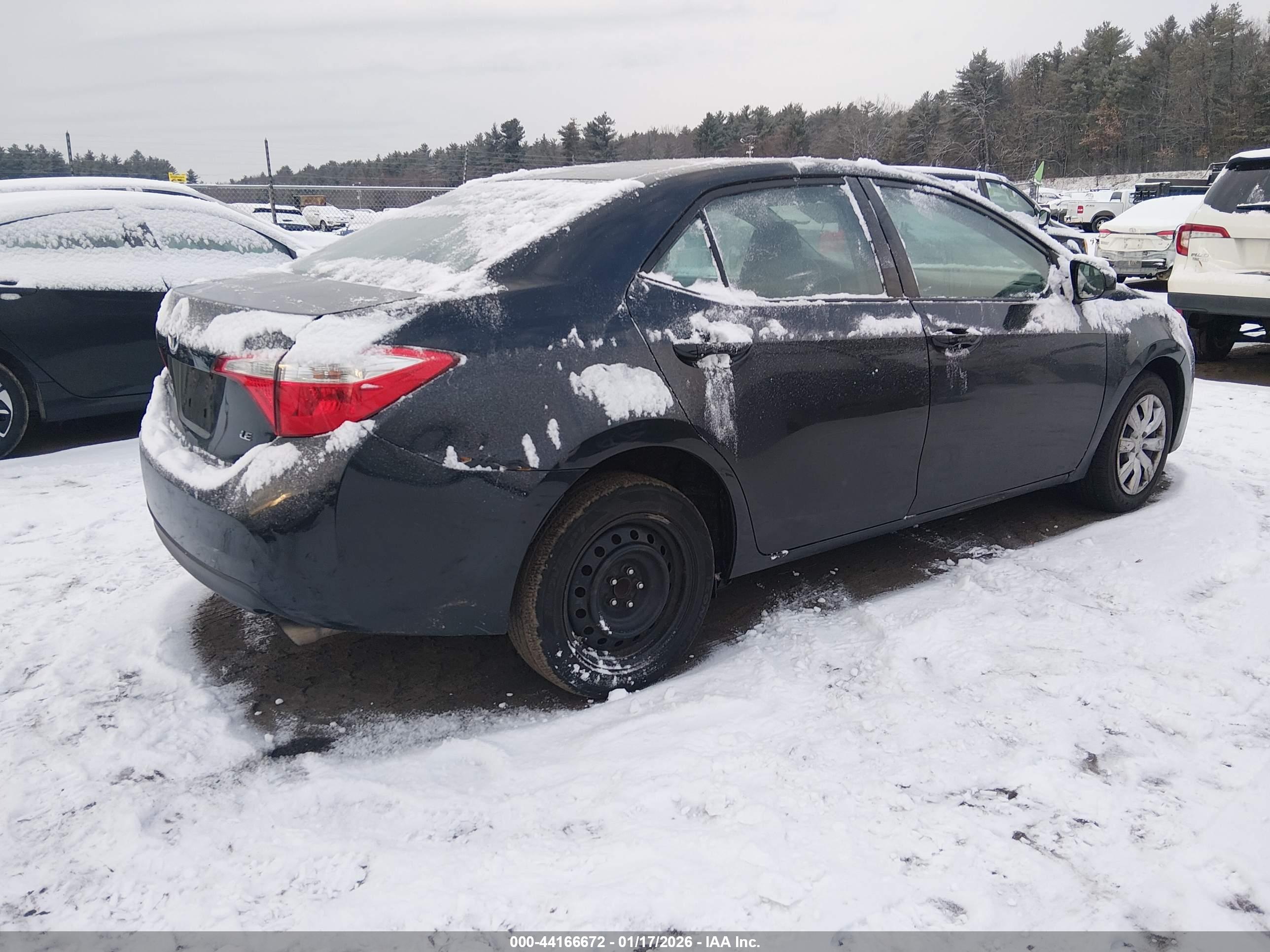 TOYOTA COROLLA image 4