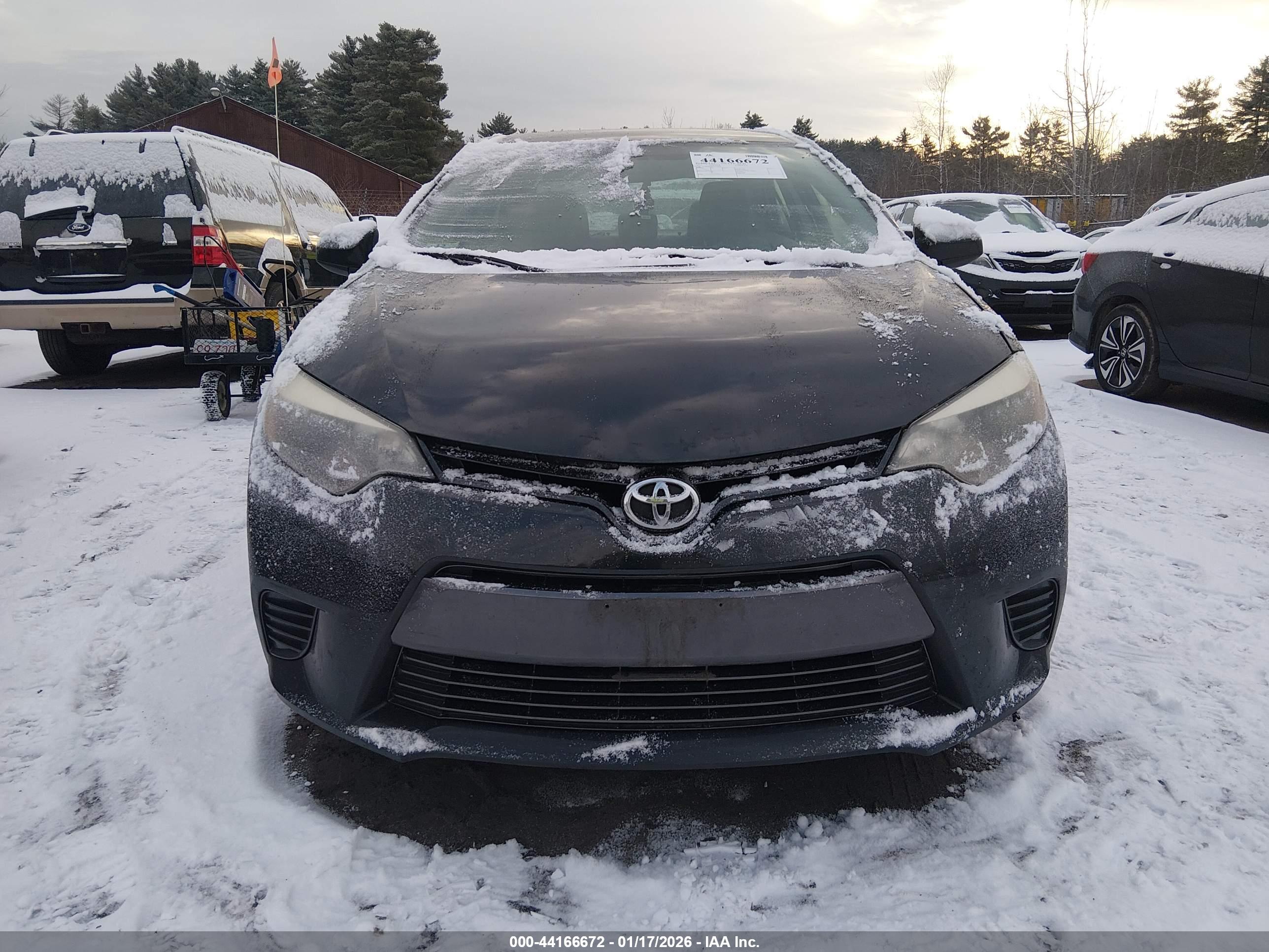 TOYOTA COROLLA image 6