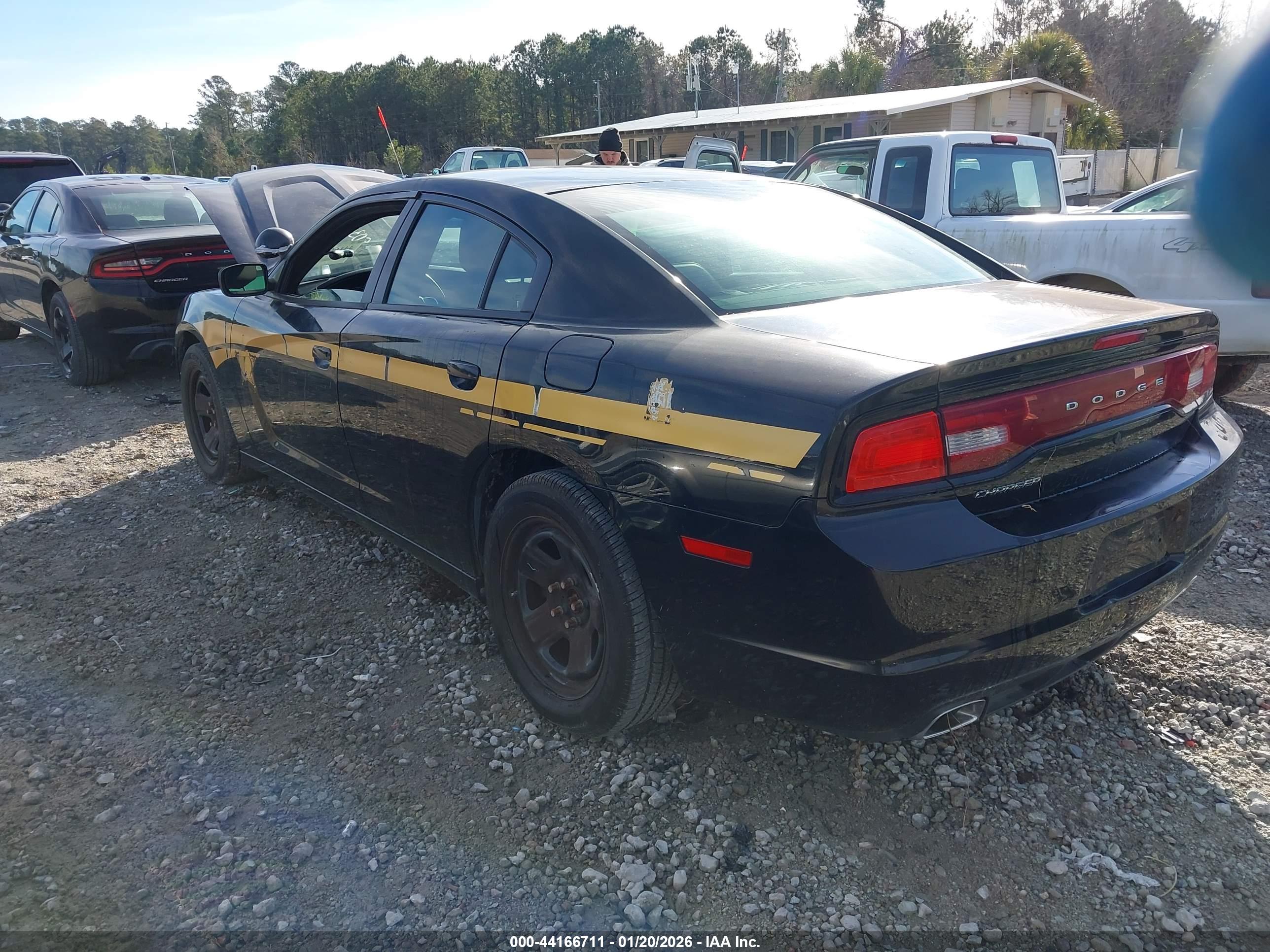 DODGE CHARGER image 3
