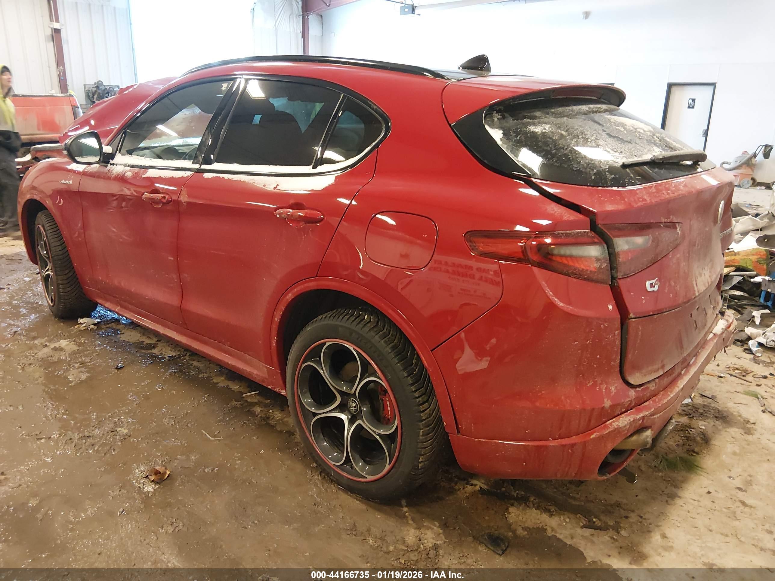 ALFA ROMEO image 3