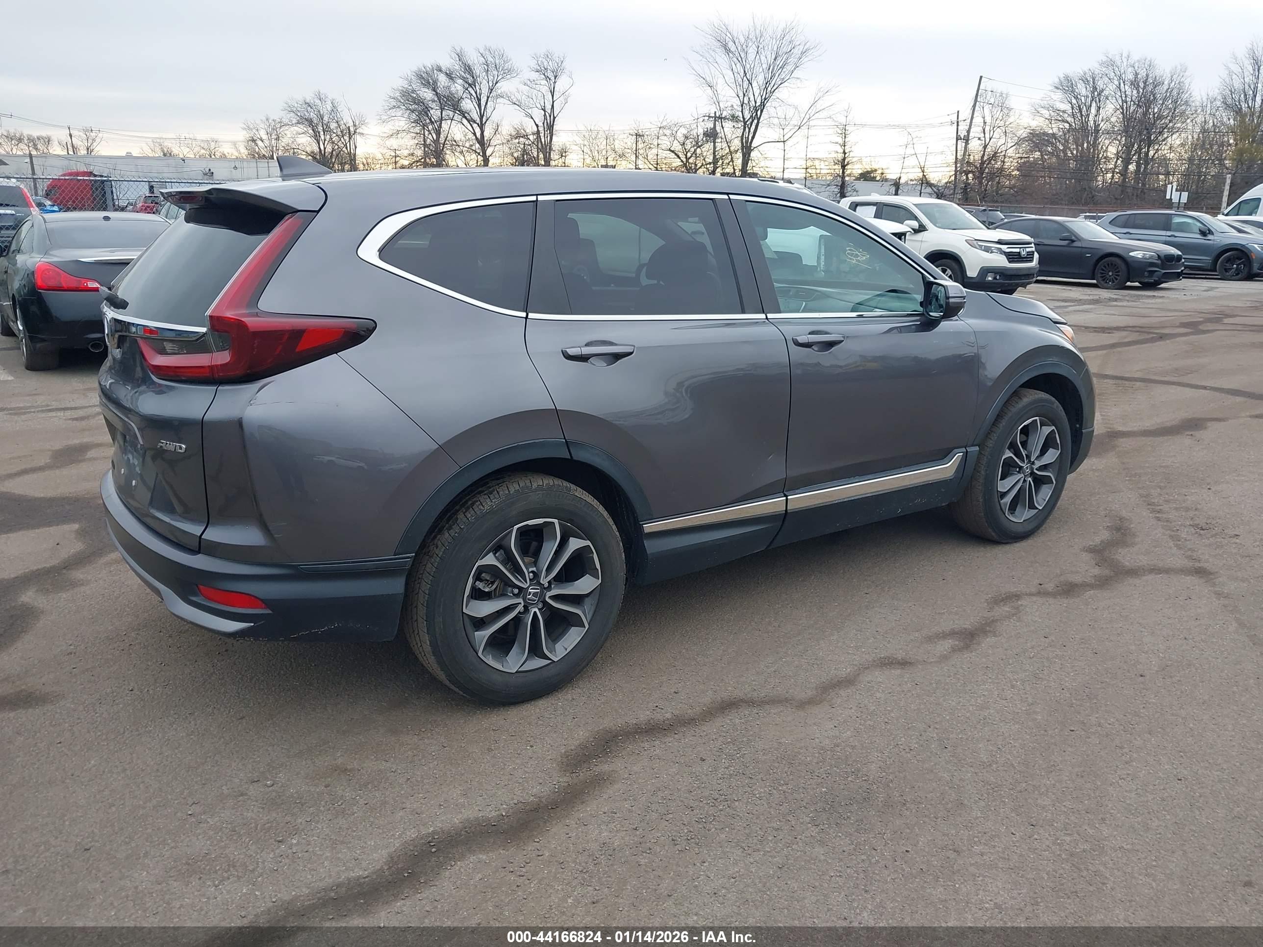 HONDA CR-V image 4
