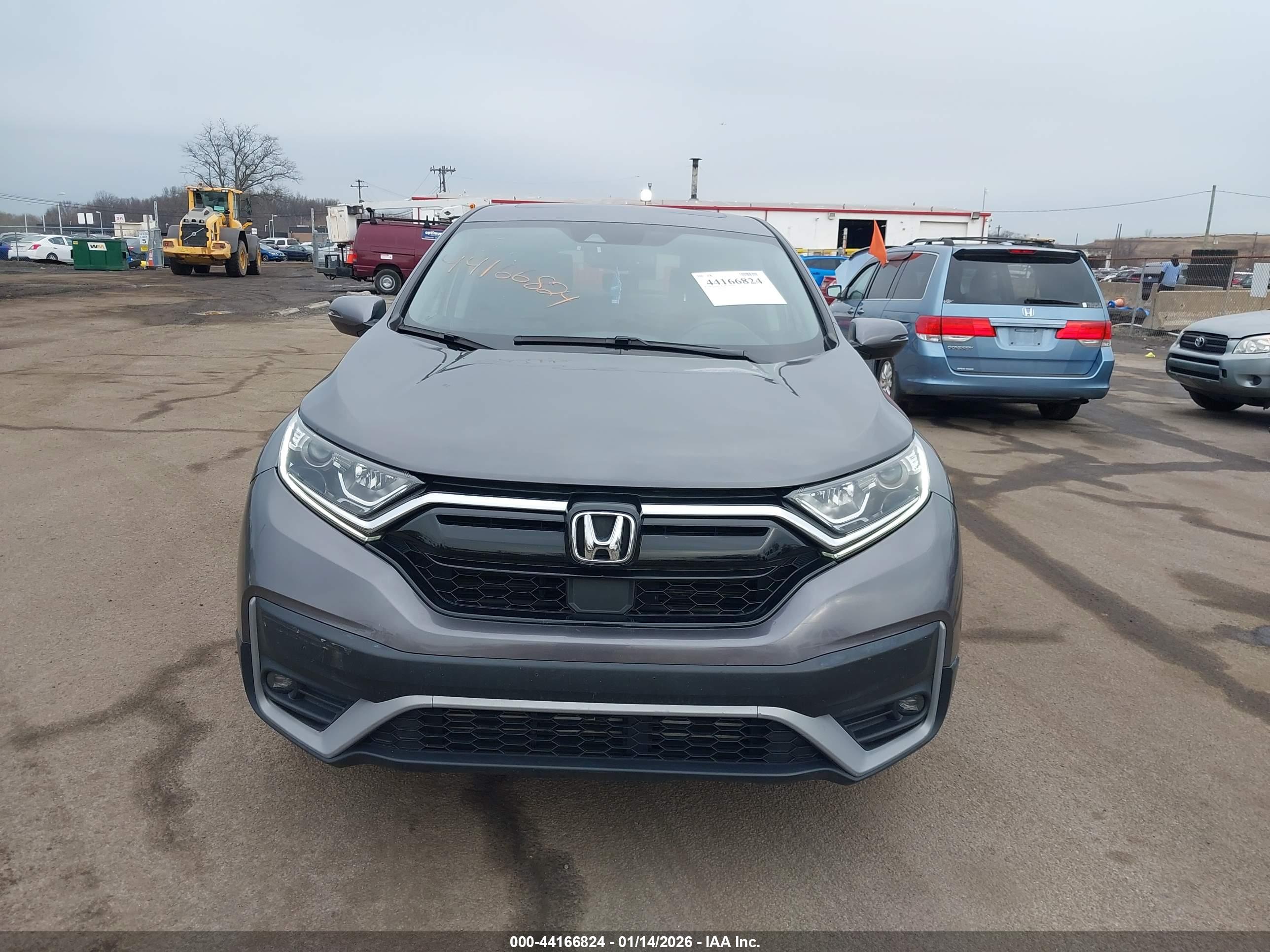 HONDA CR-V image 6