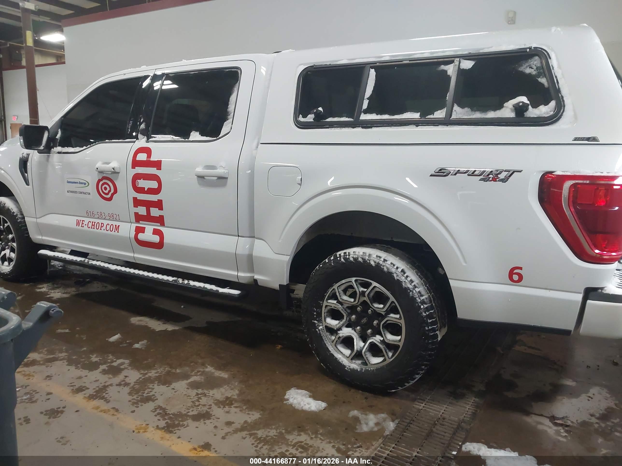 FORD F-150 image 3