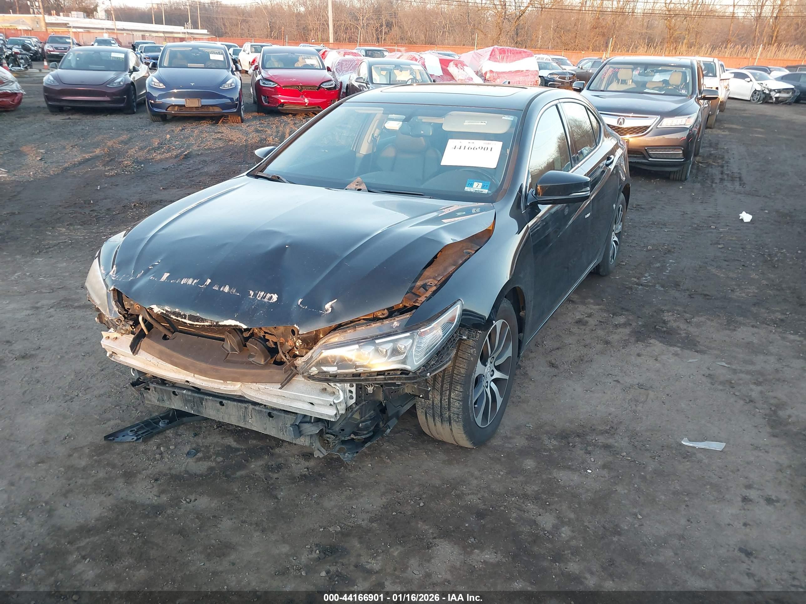 ACURA TLX image 6