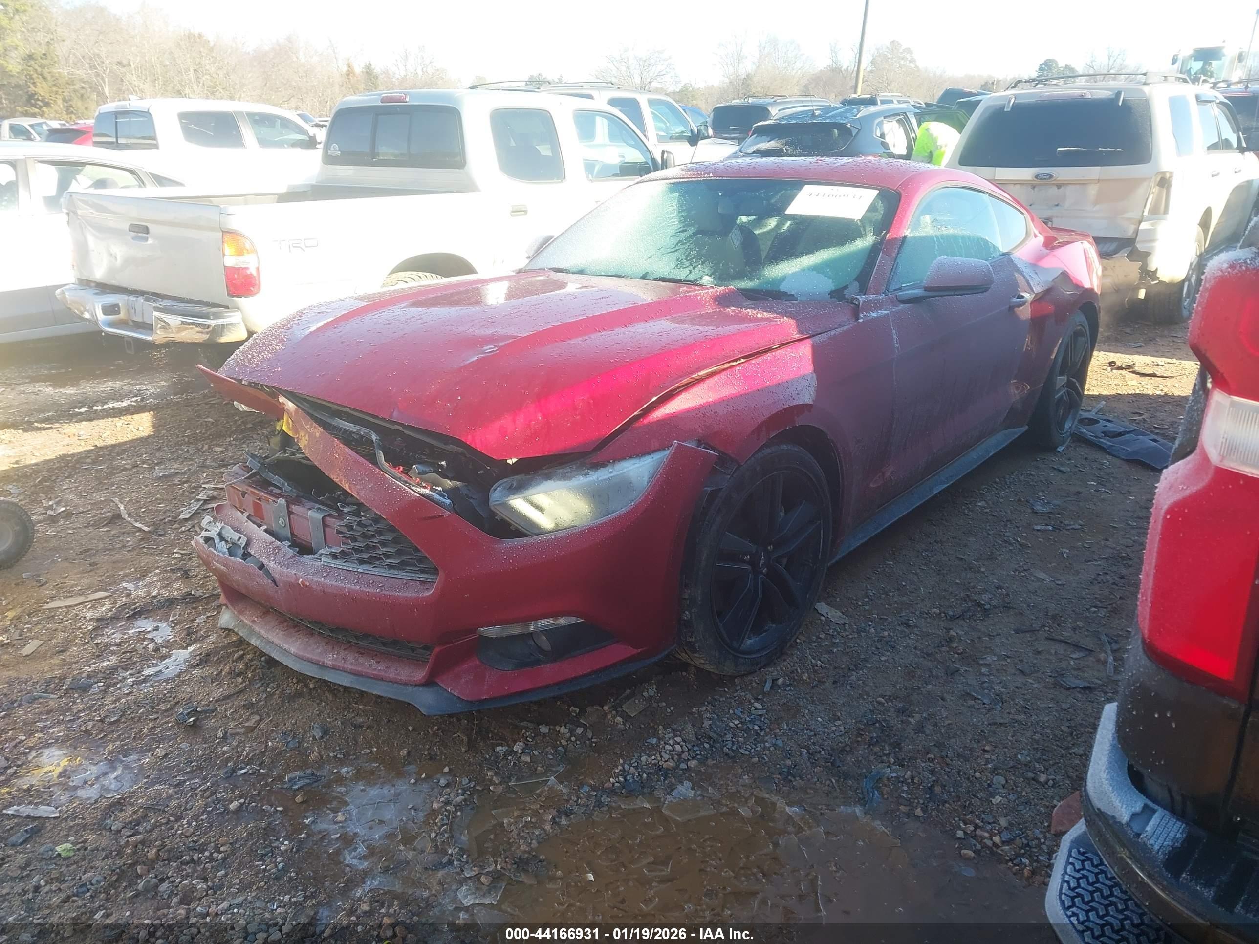 FORD MUSTANG image 2