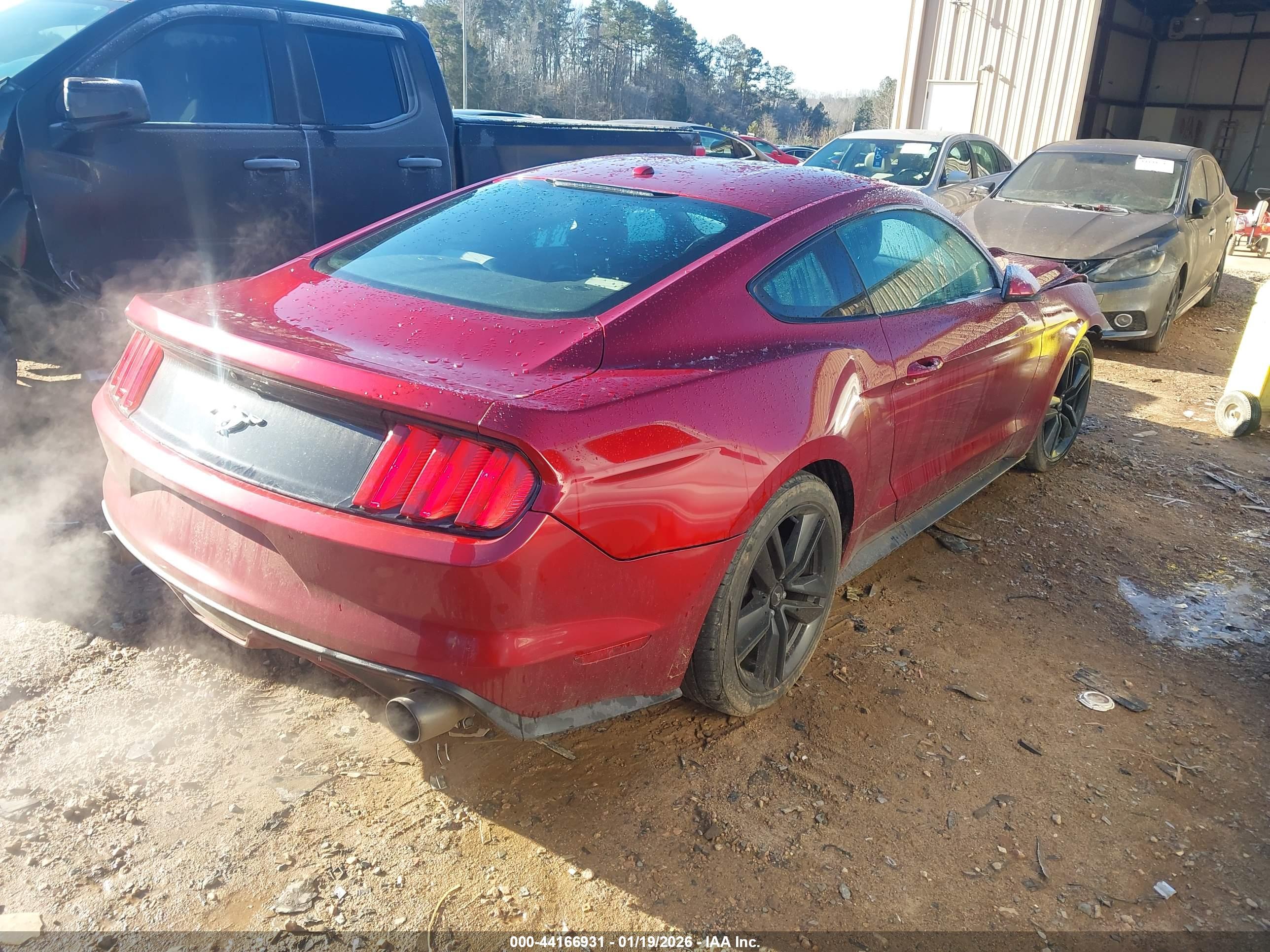 FORD MUSTANG image 4