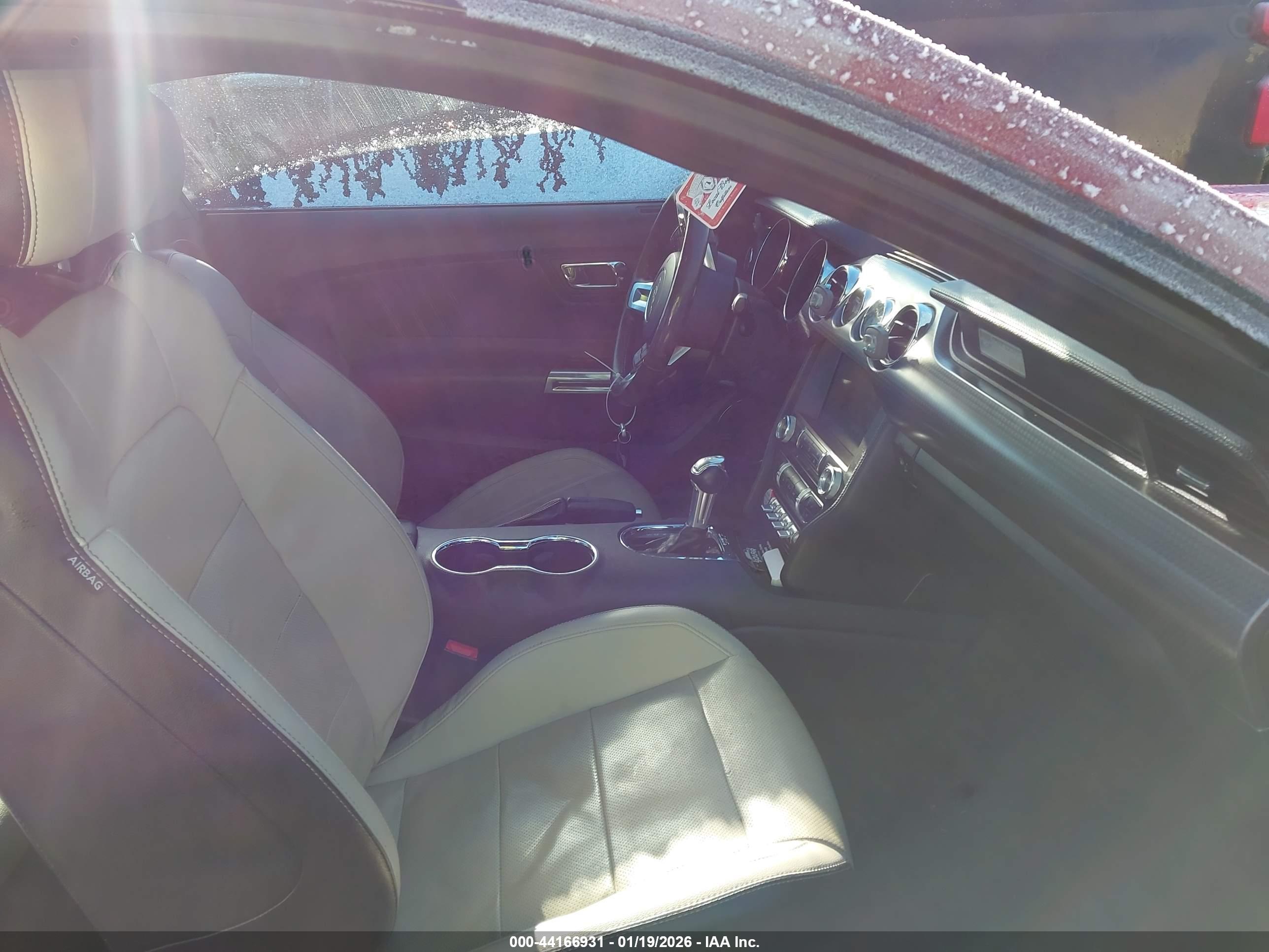 FORD MUSTANG image 5