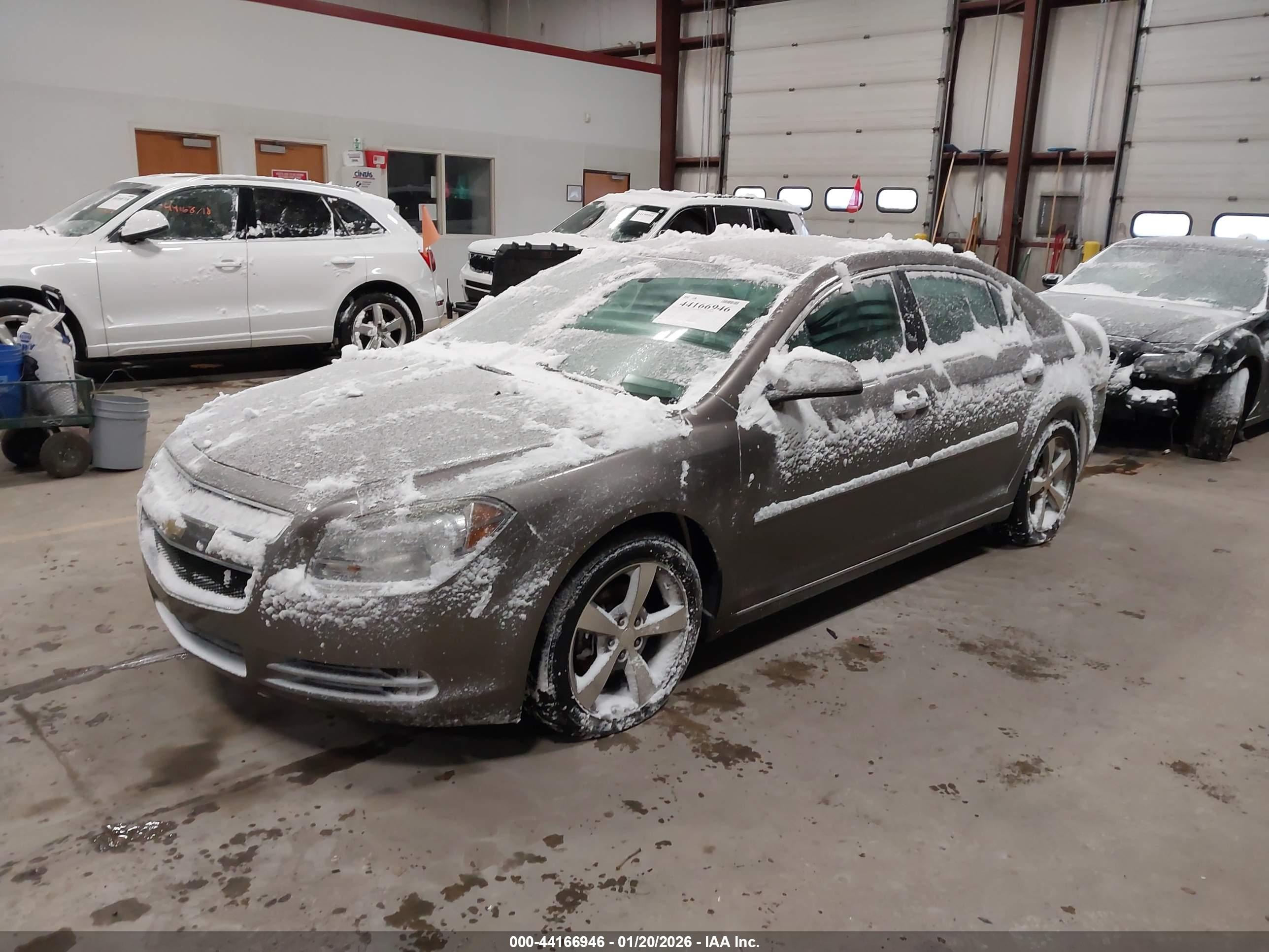 CHEVROLET MALIBU image 2