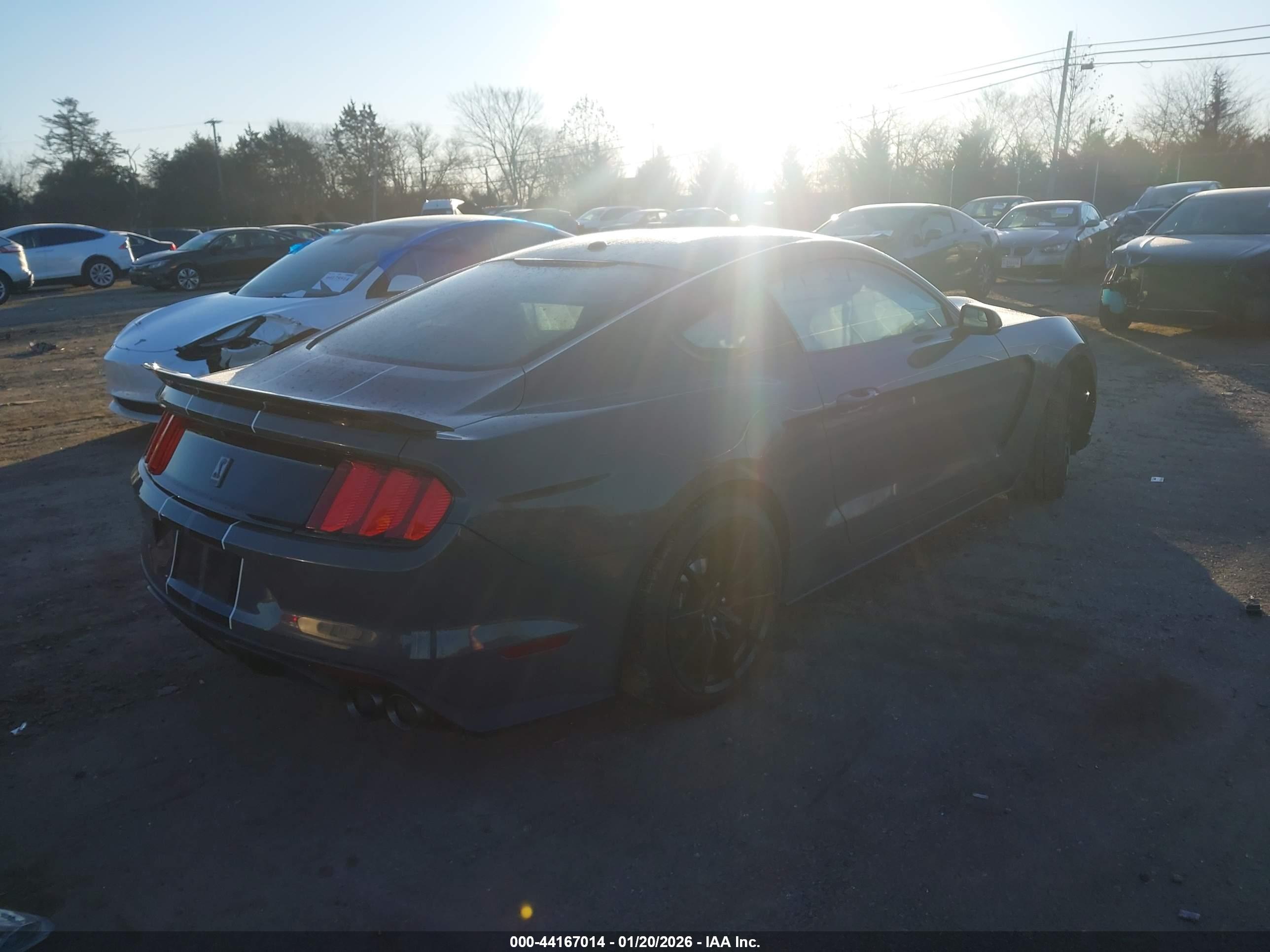 FORD SHELBY image 4