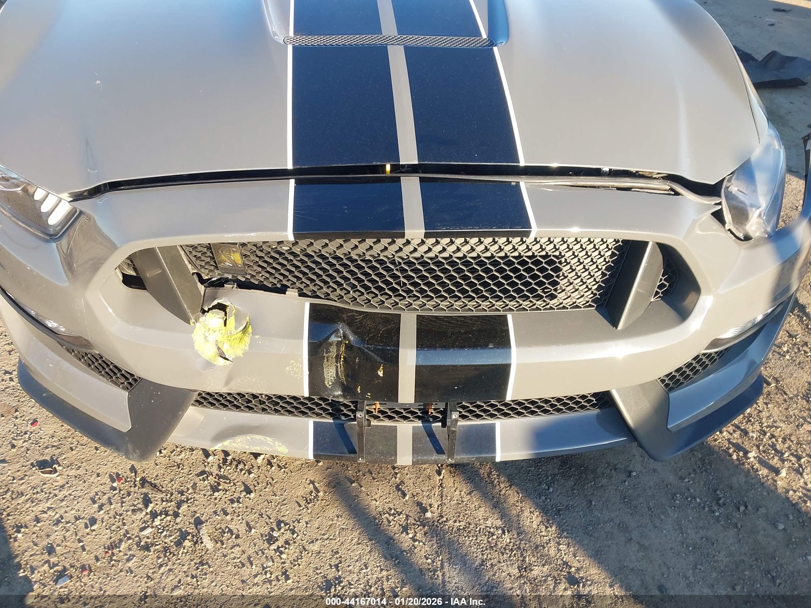 FORD SHELBY image 6