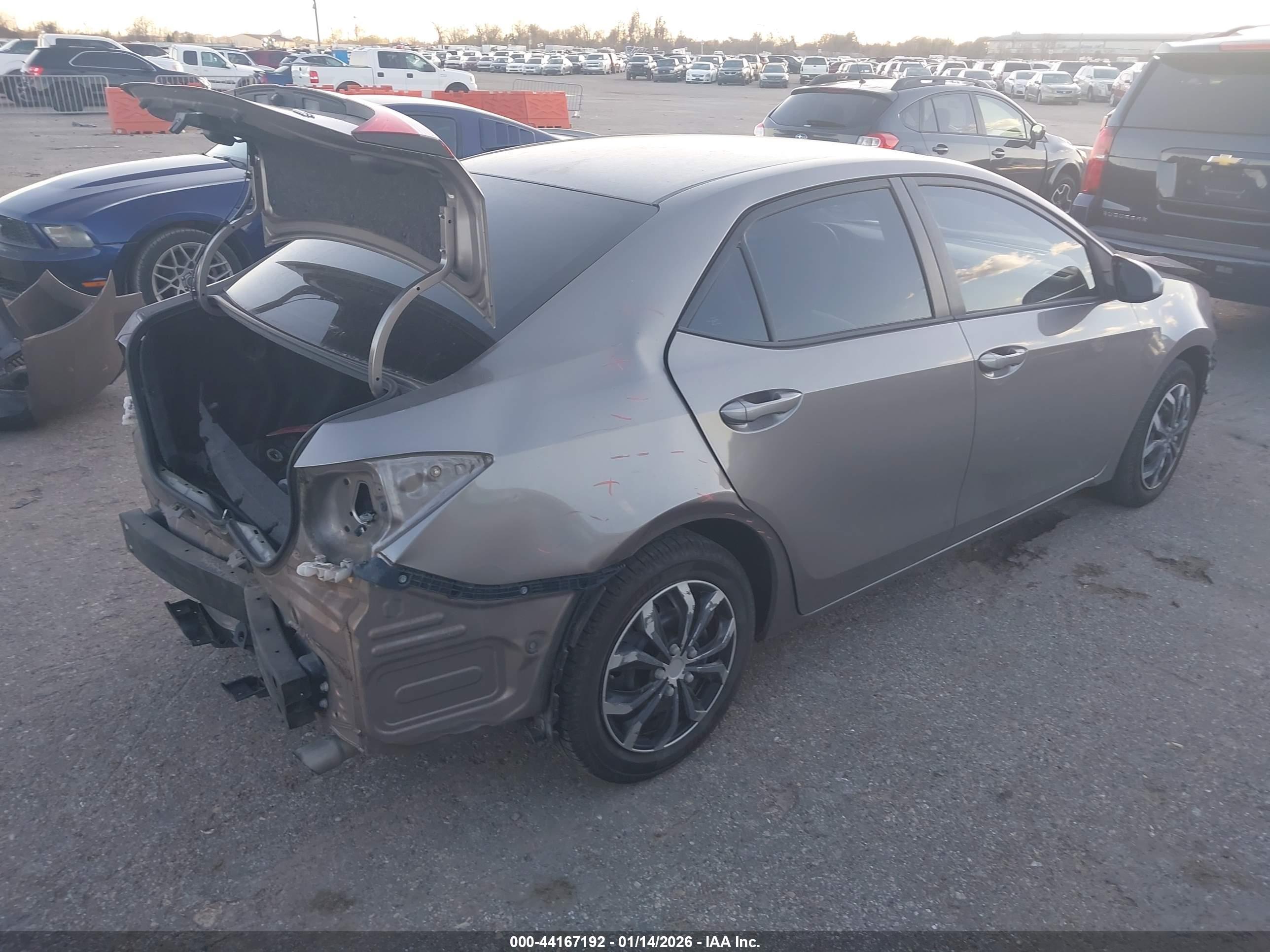 TOYOTA COROLLA image 4