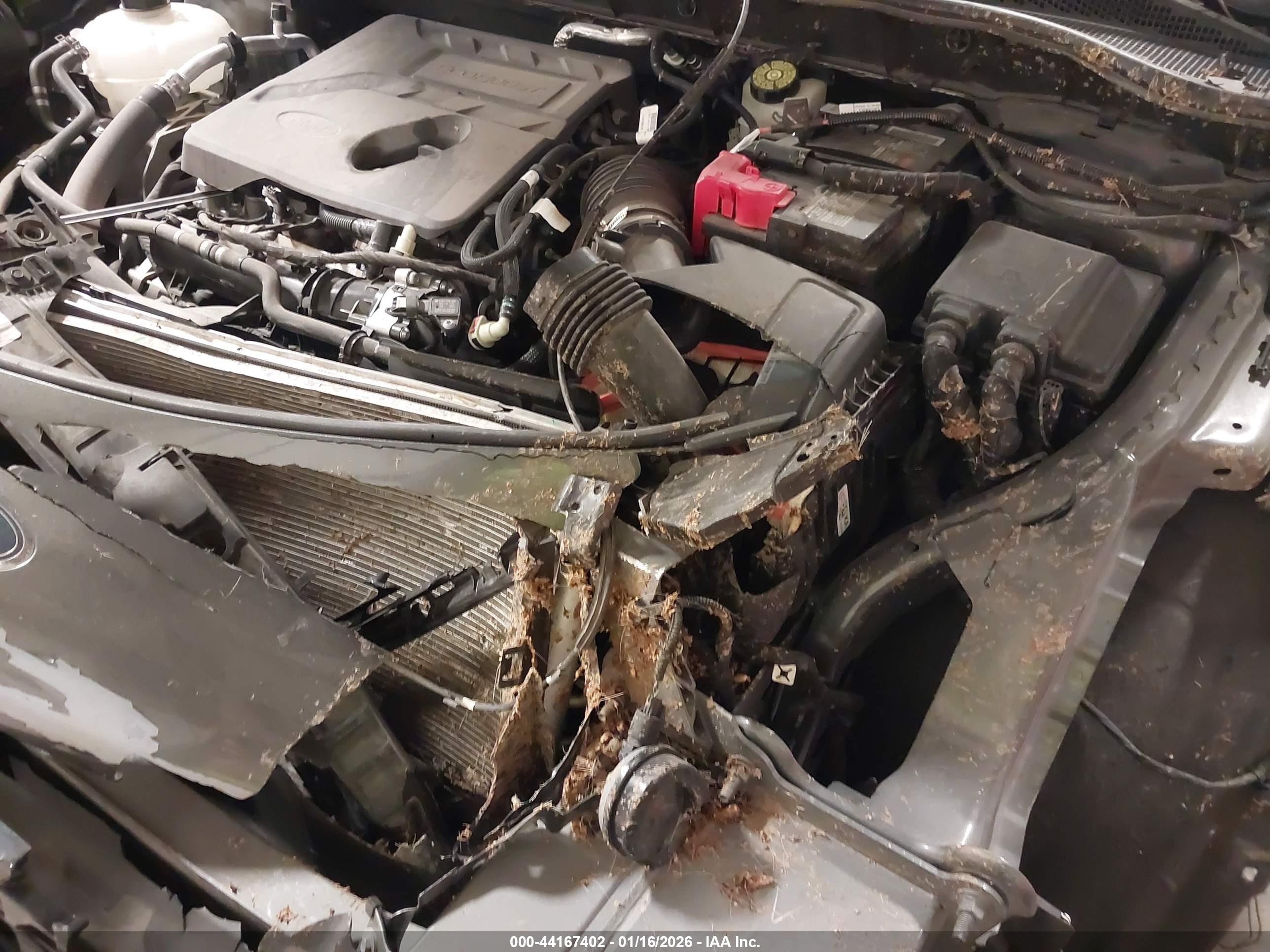 FORD ESCAPE image 6