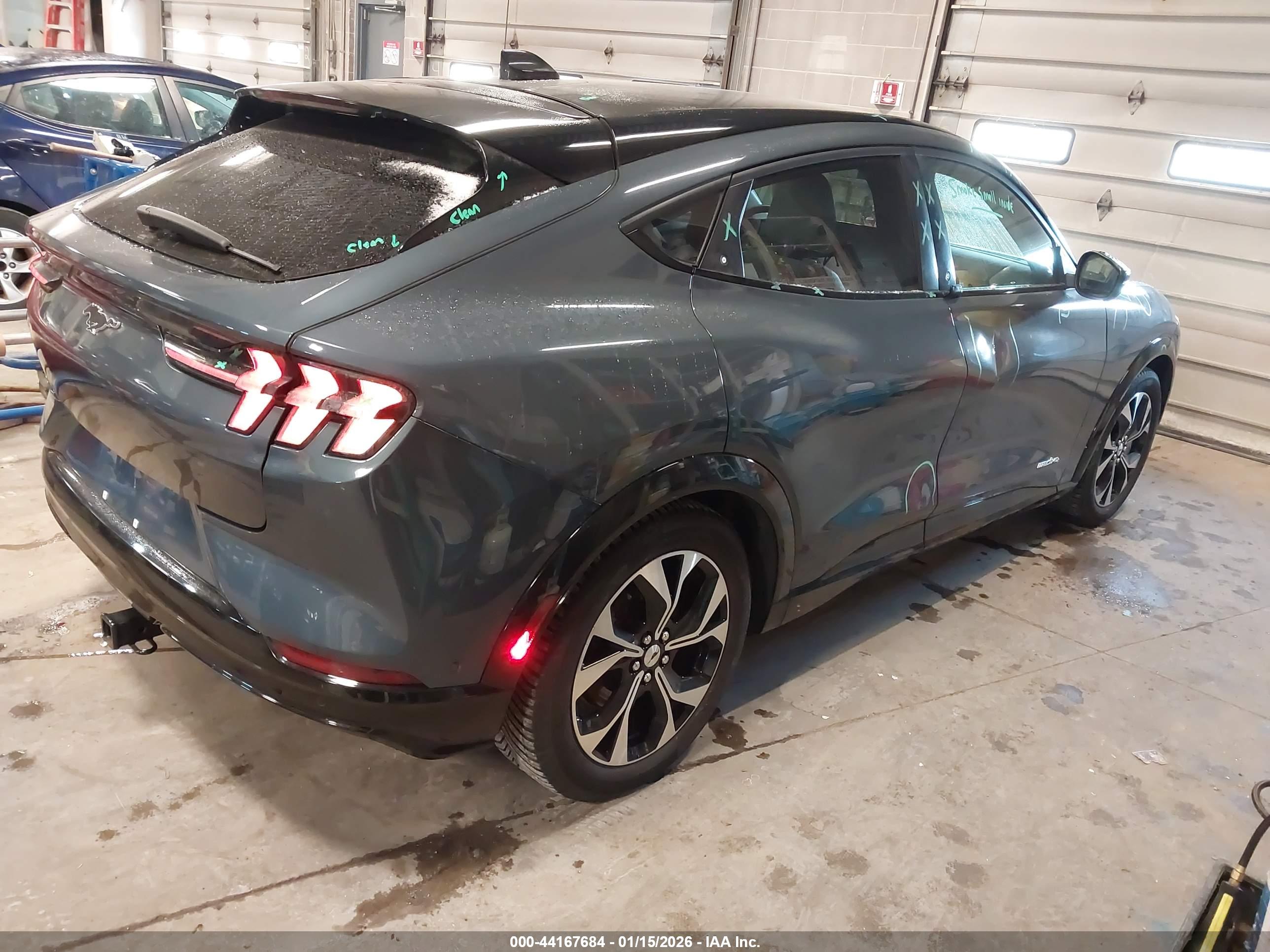 FORD MUSTANG image 4