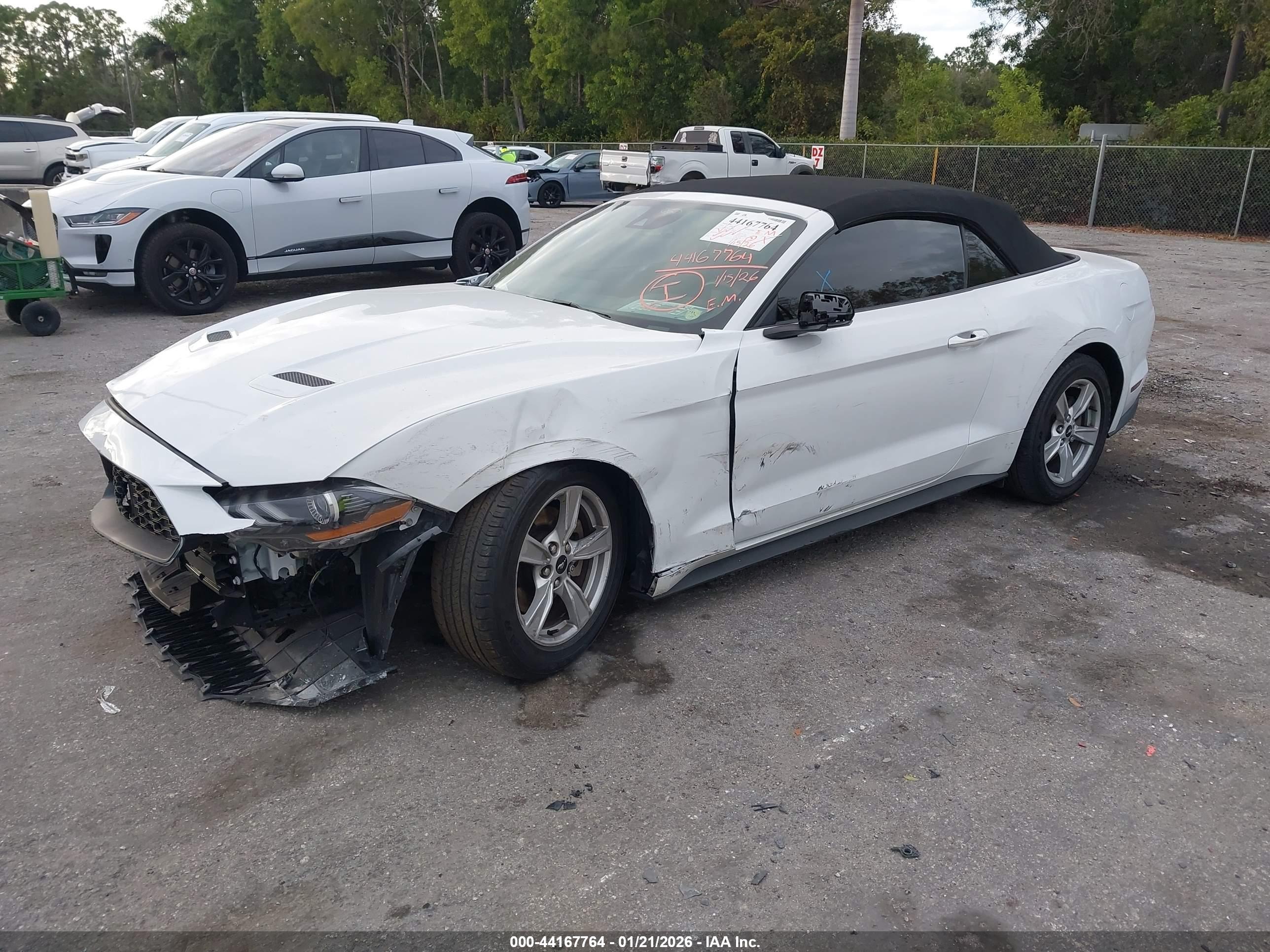 FORD MUSTANG image 2