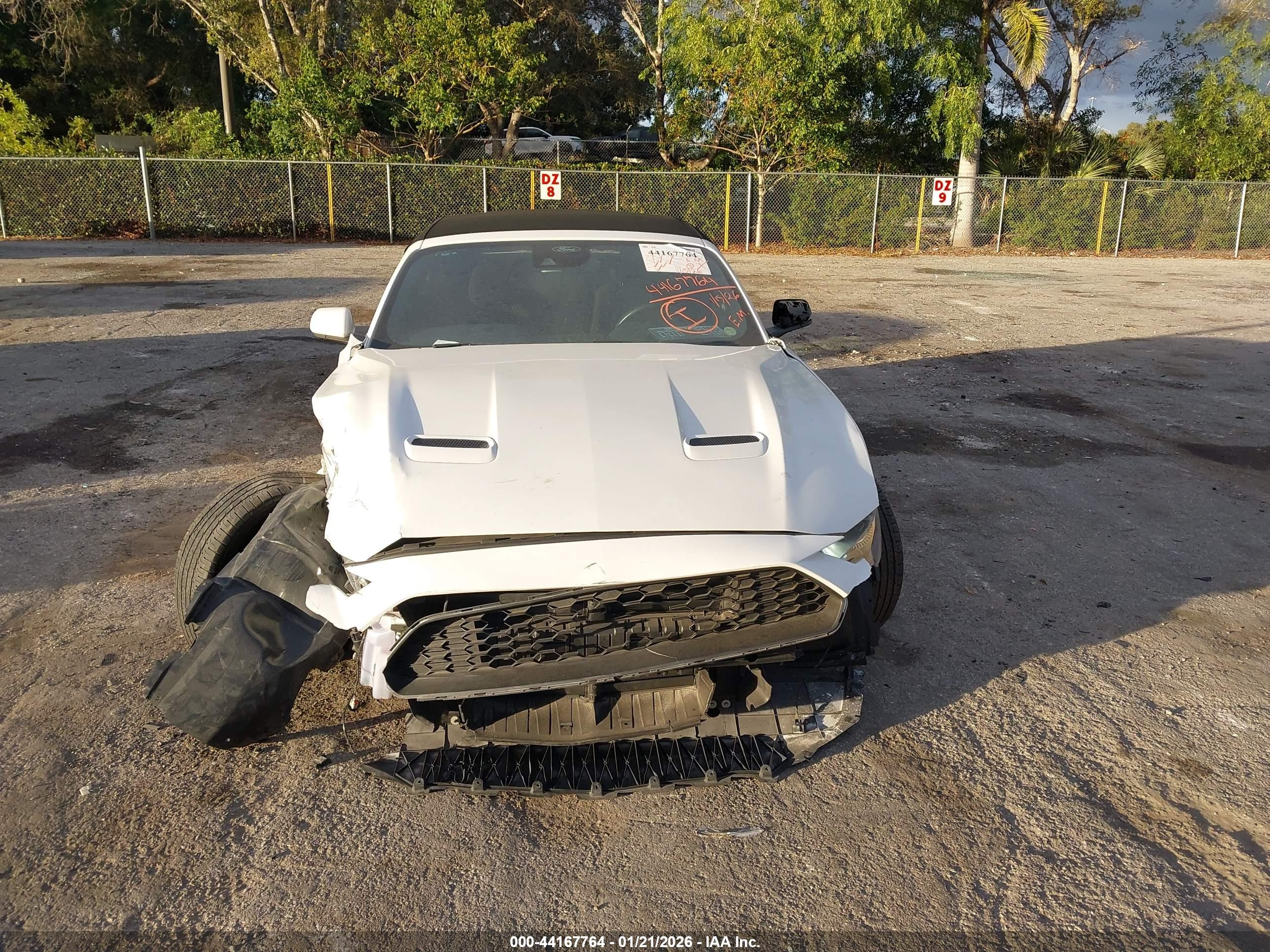 FORD MUSTANG image 6