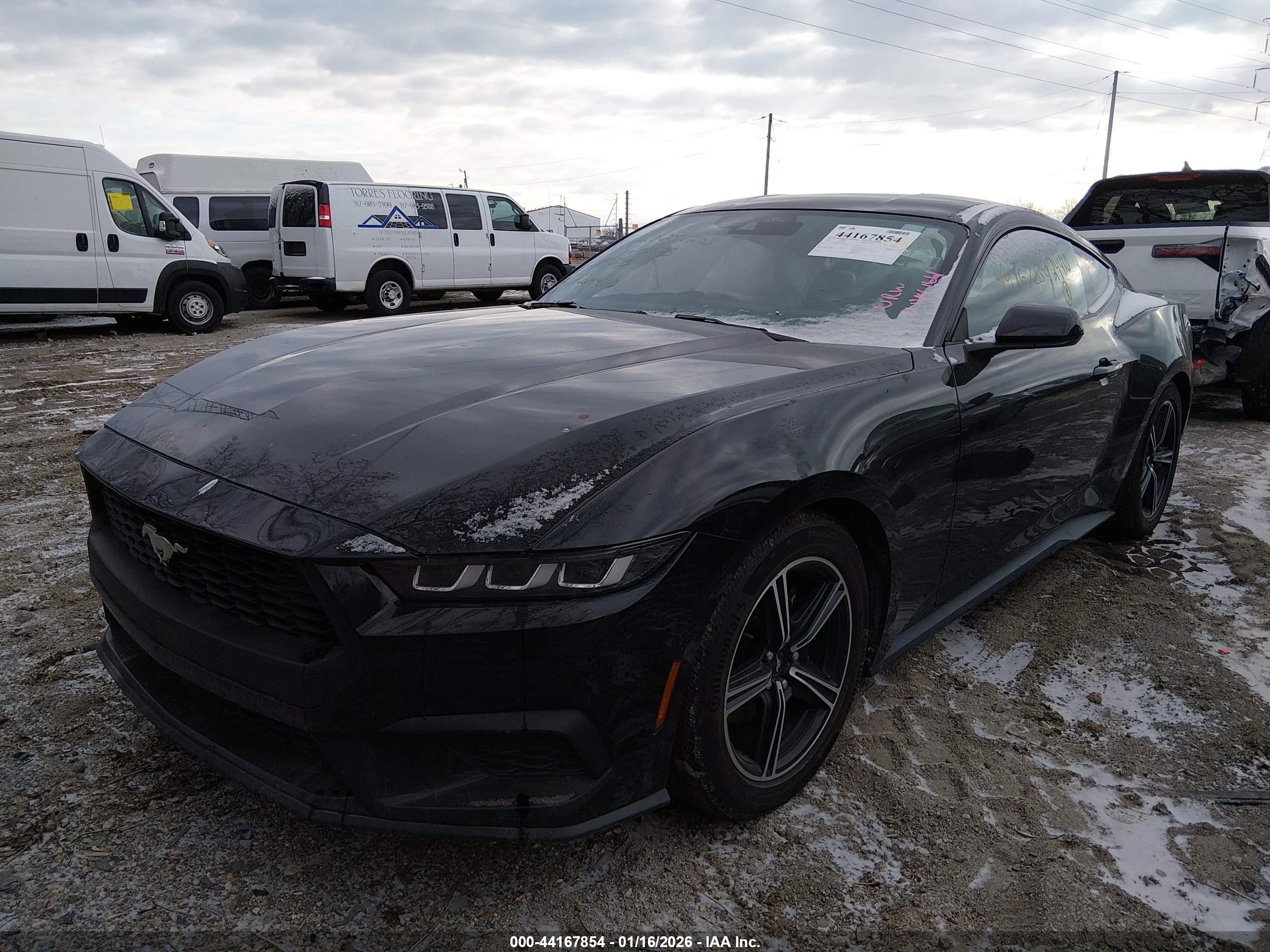 FORD MUSTANG image 2