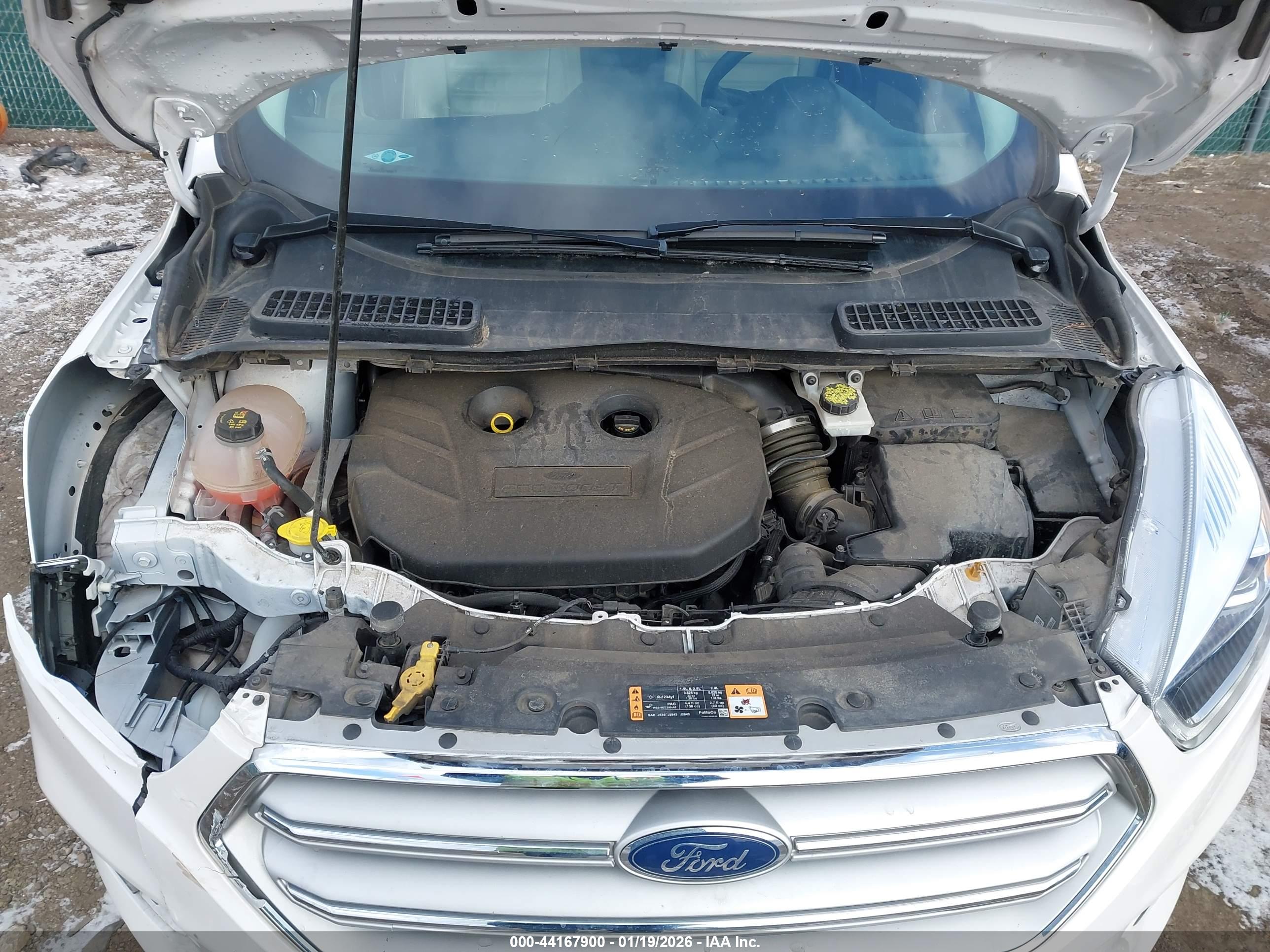 FORD ESCAPE image 10