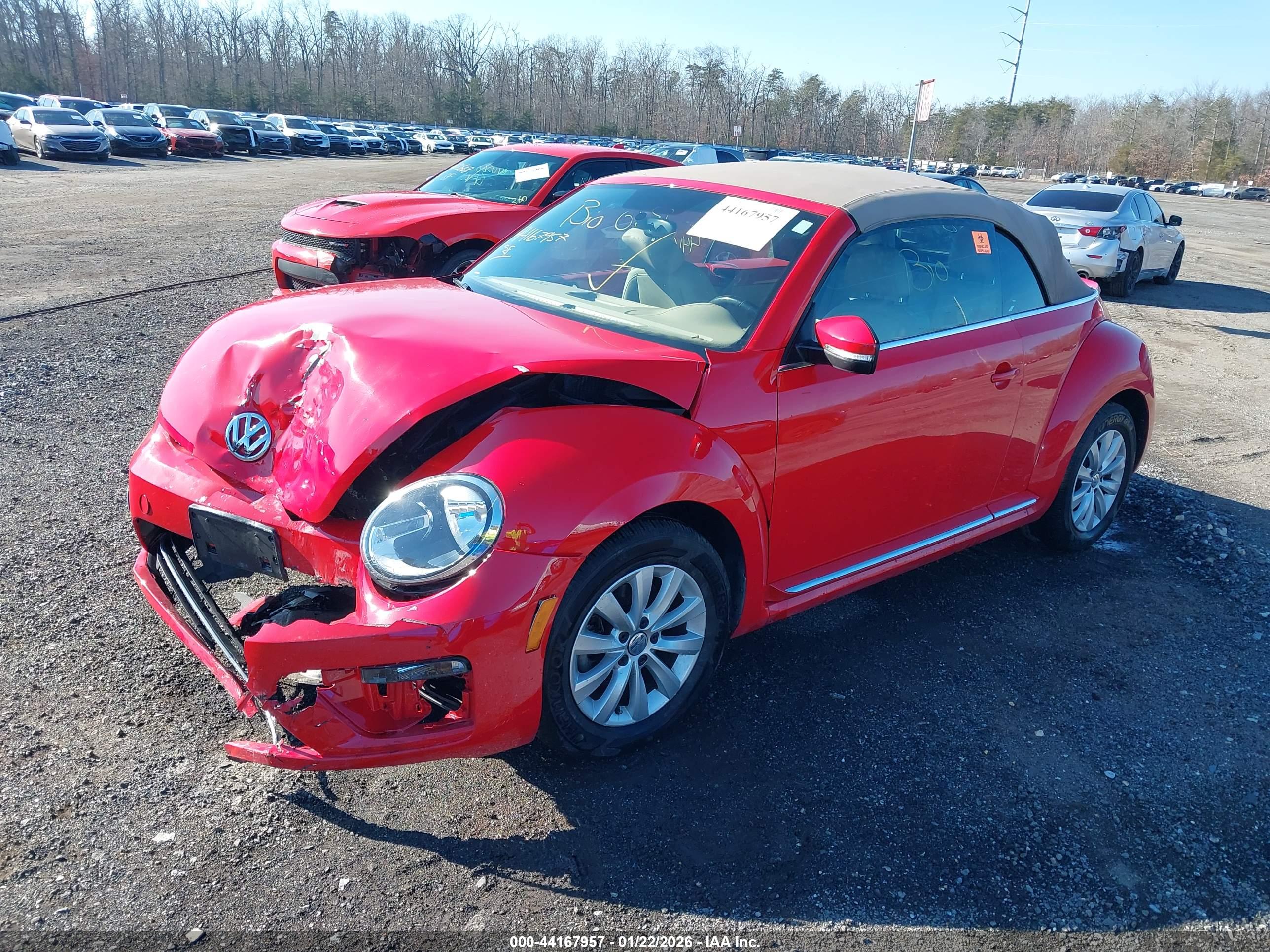 VOLKSWAGEN BEETLE image 2