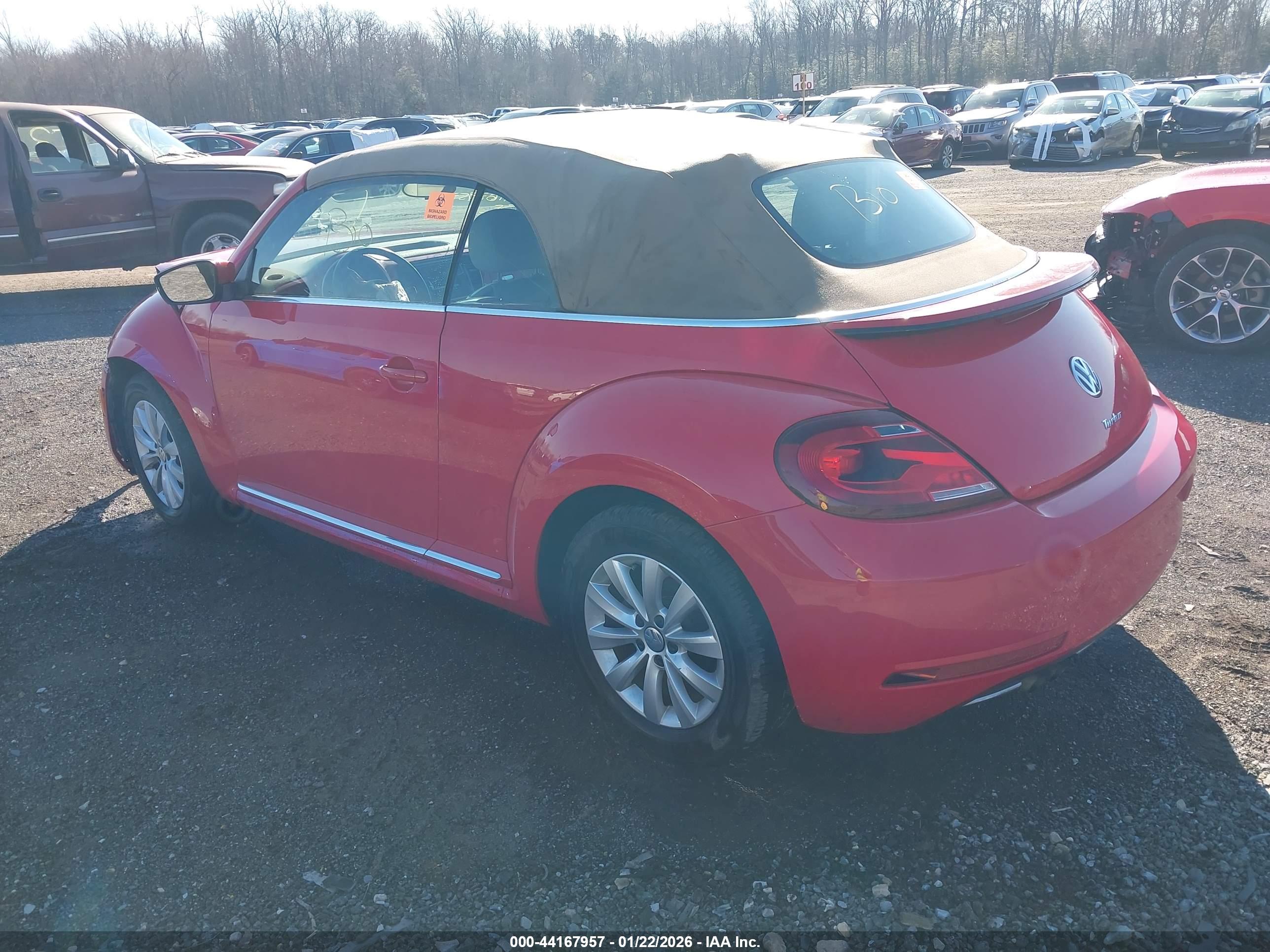 VOLKSWAGEN BEETLE image 3