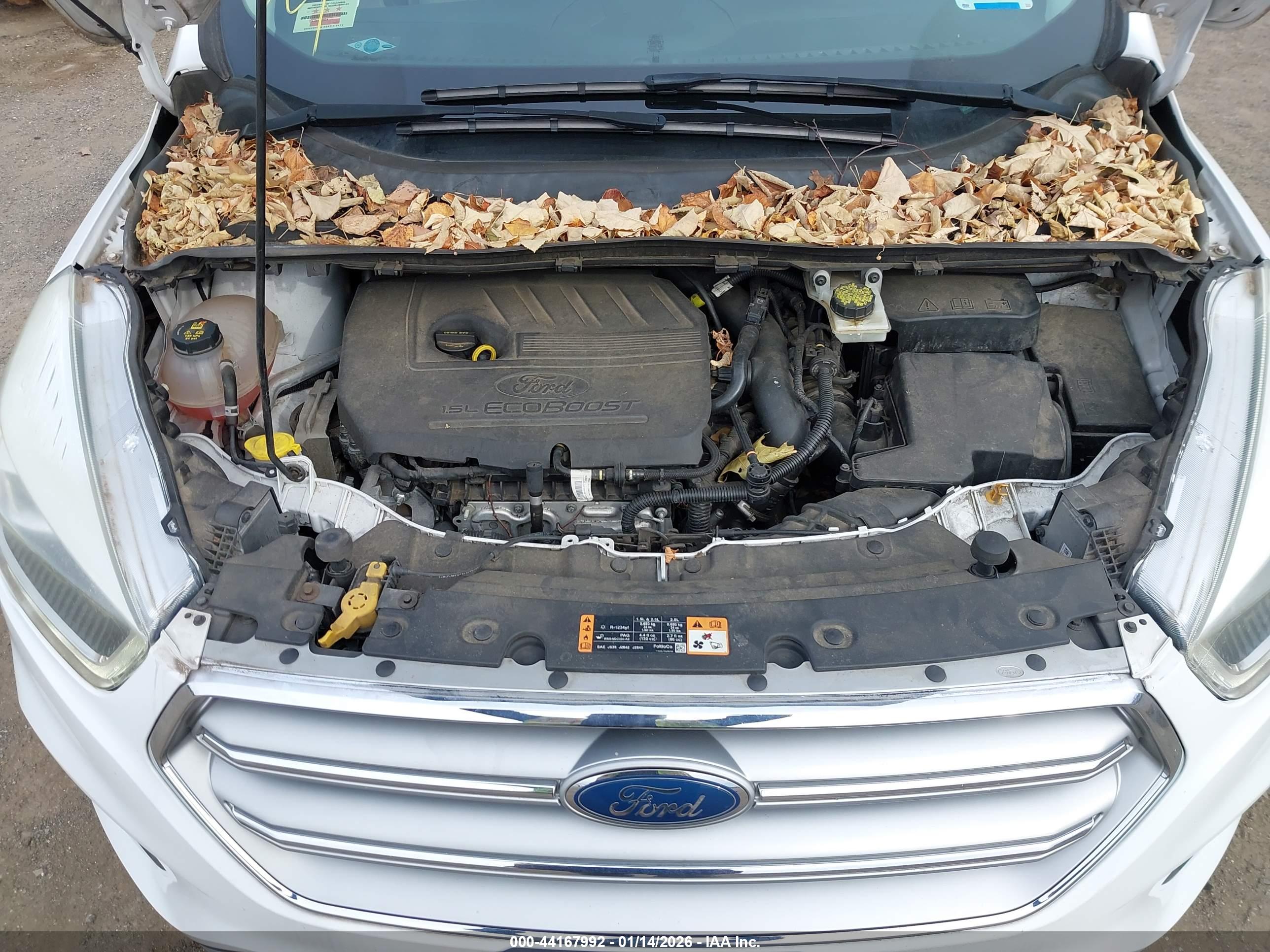 FORD ESCAPE image 10