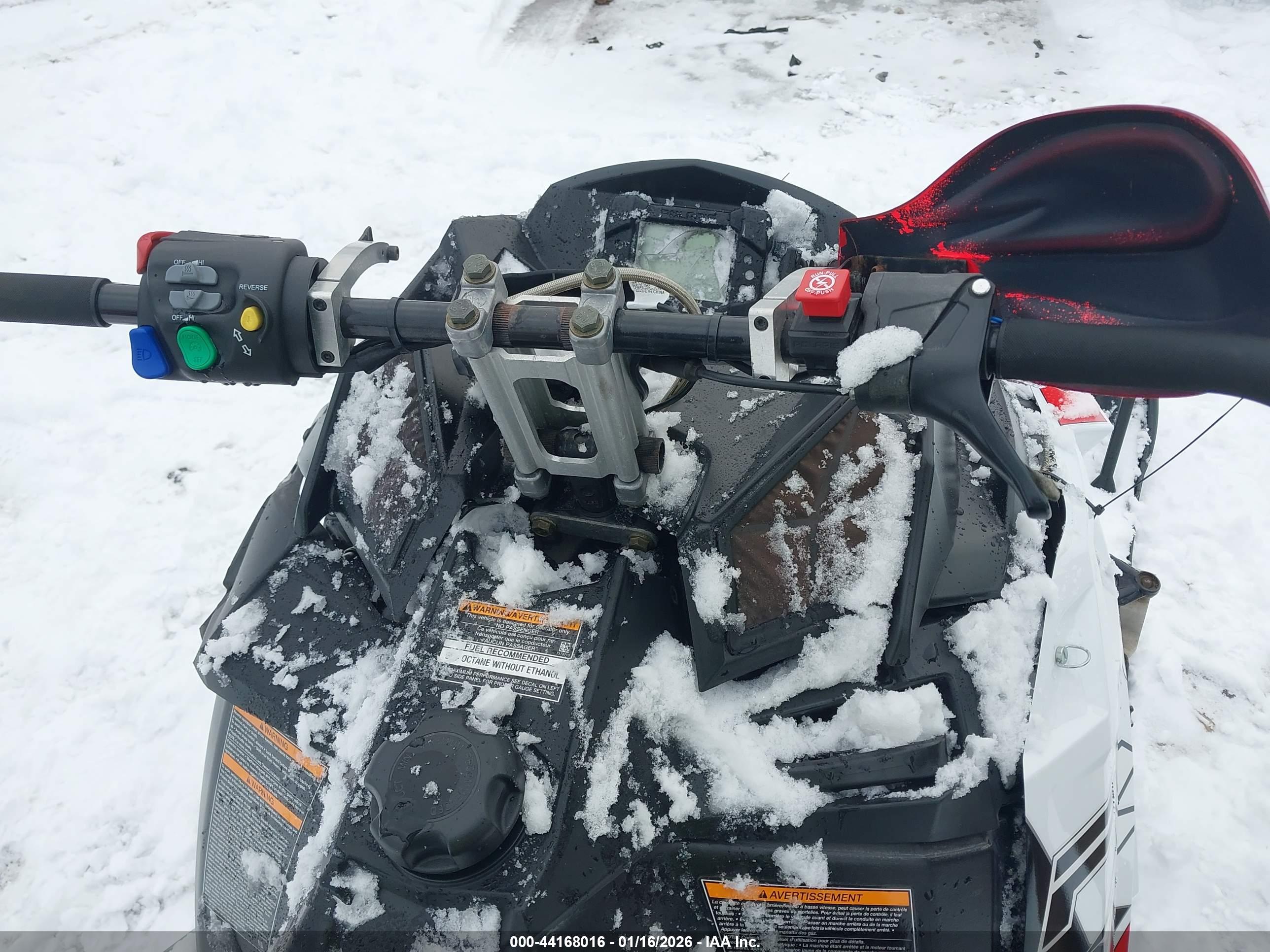 POLARIS RUSH image 5