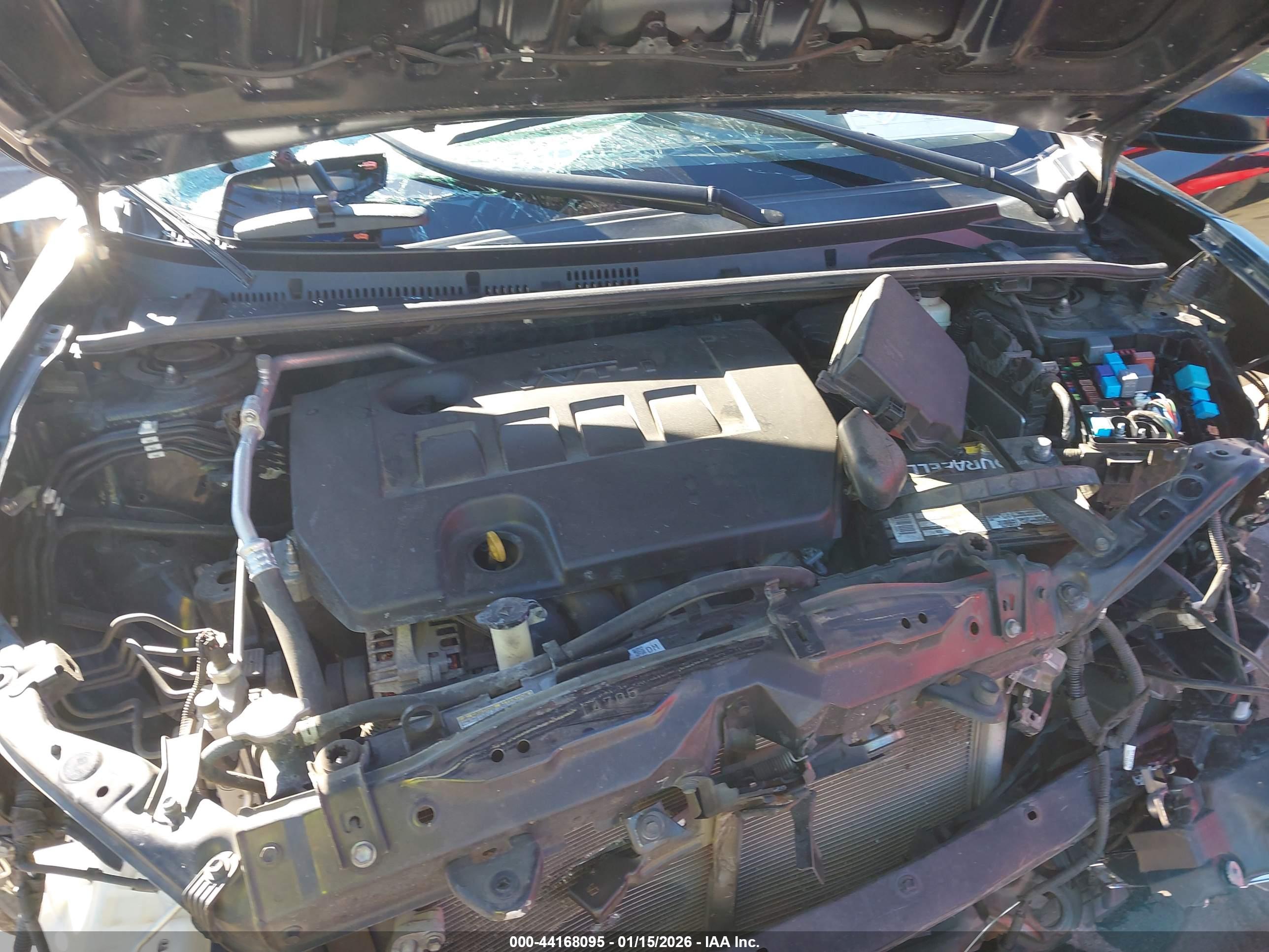TOYOTA COROLLA image 10