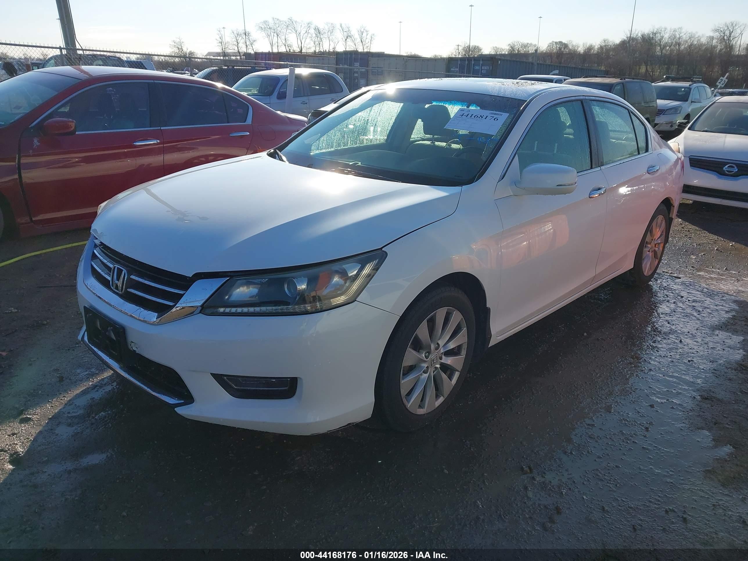 HONDA ACCORD image 2