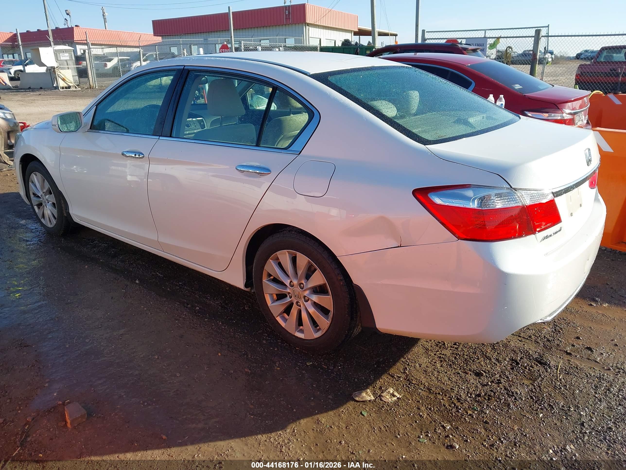 HONDA ACCORD image 3