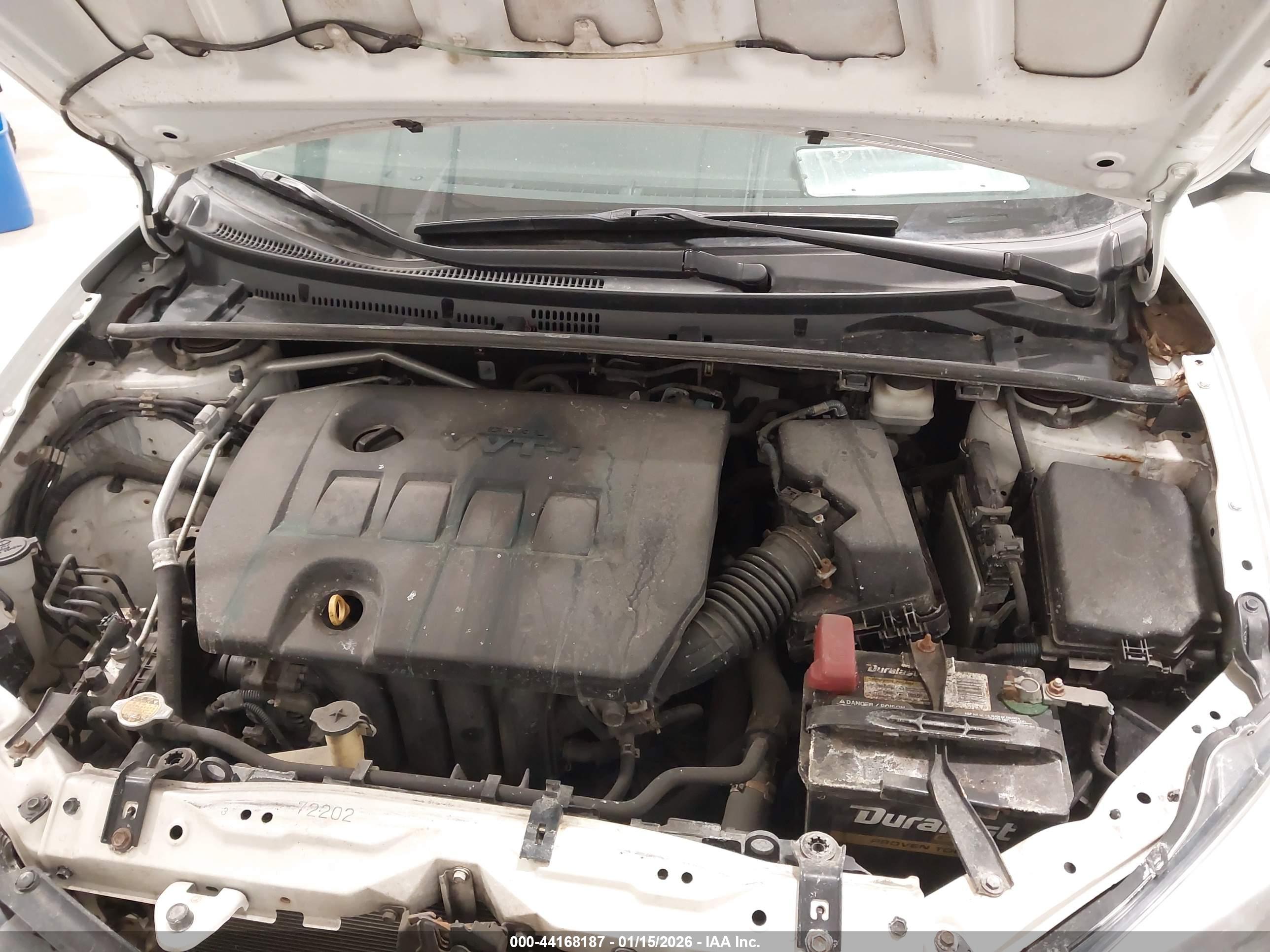 TOYOTA COROLLA image 10