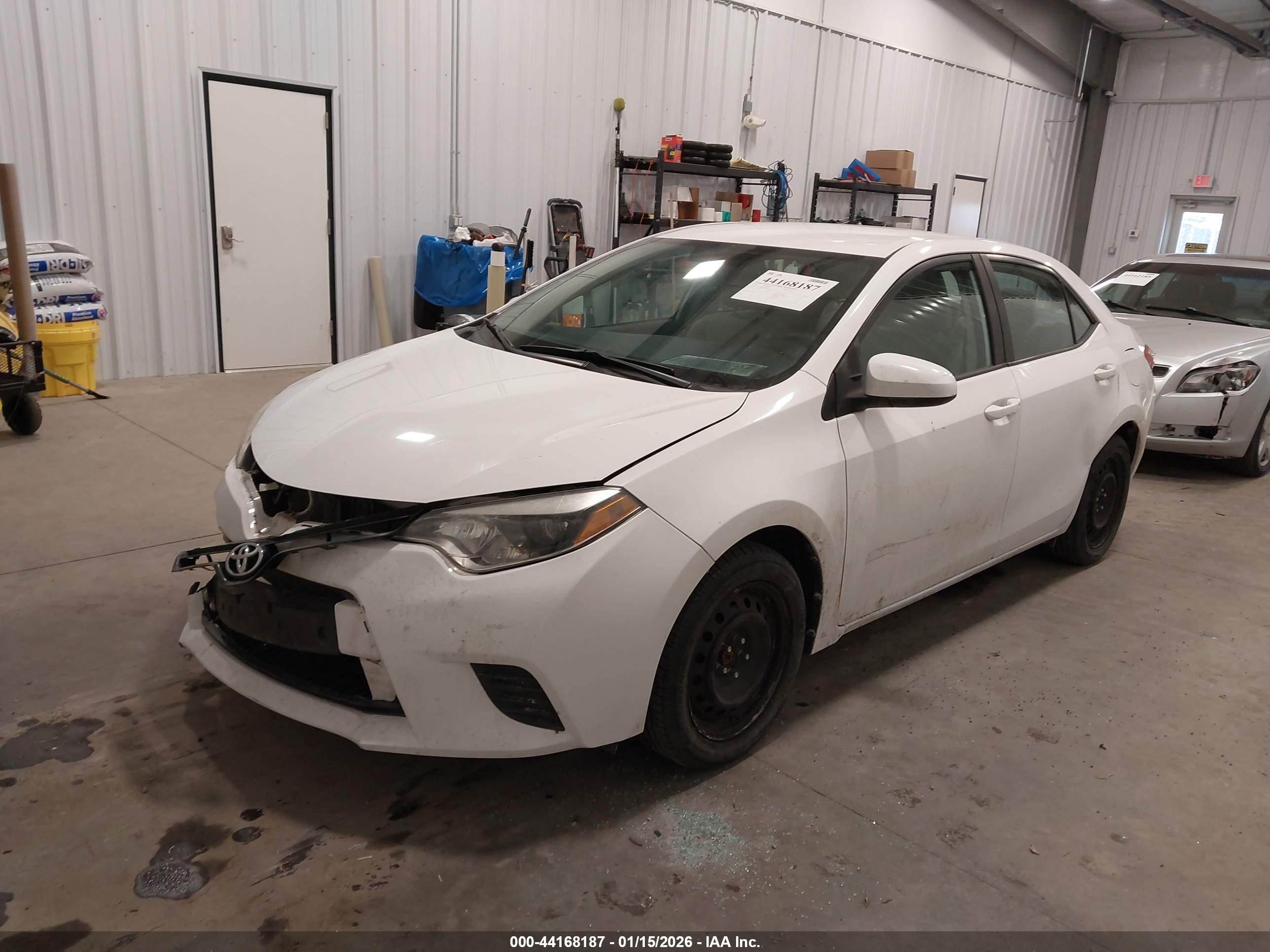 TOYOTA COROLLA image 2